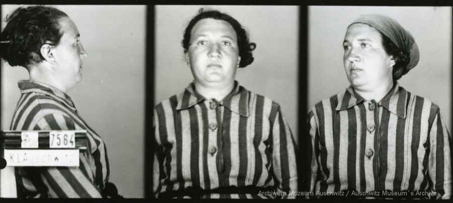 A mugshot registration photograph from Auschwitz. A woman wearing a striped uniform photographed in three positions (profile and front with a bare head and a photo with a slightly turned head with a headscarf on). The prisoner number is visible on a marking board on the left.