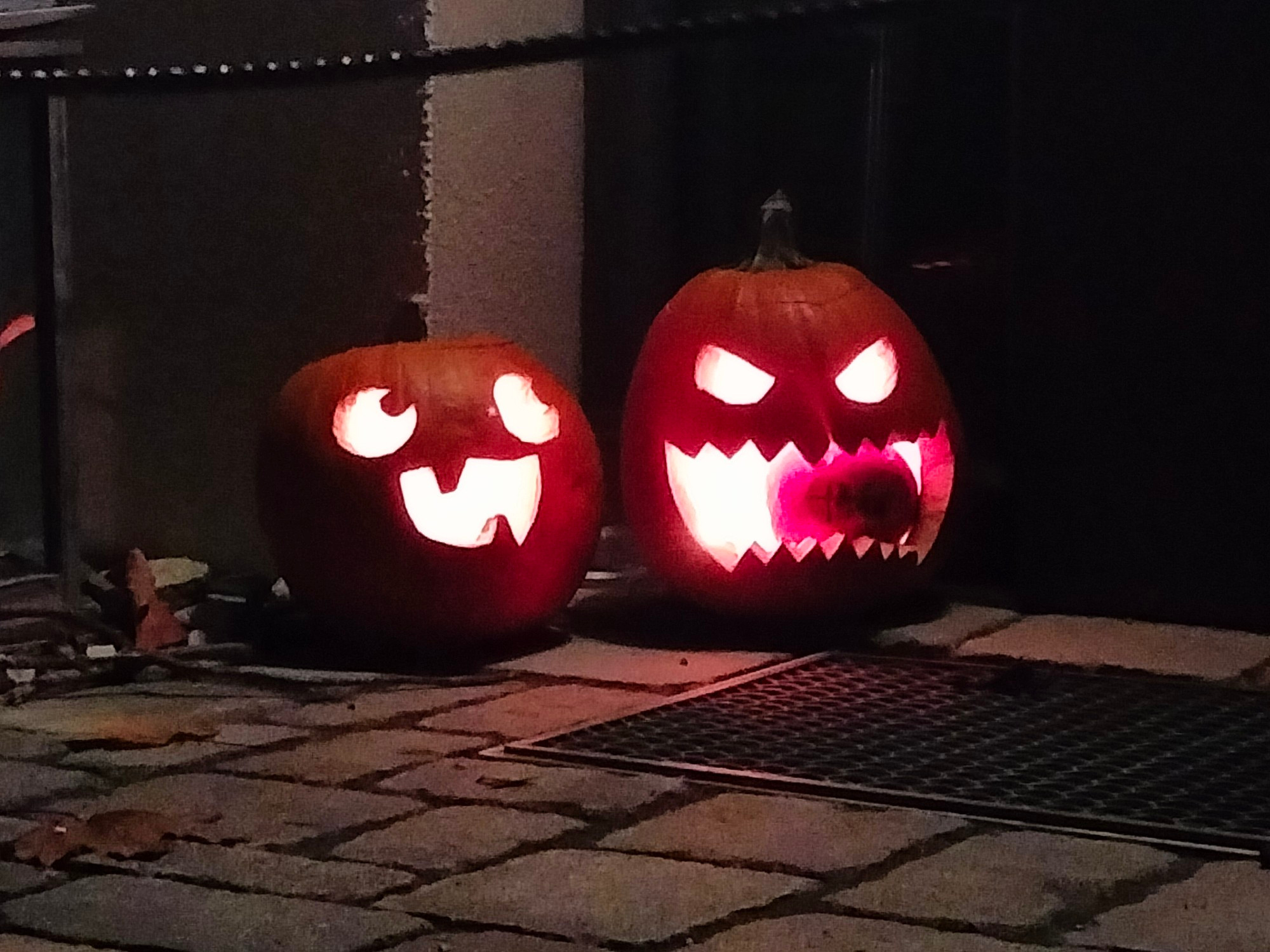 Zwei geschnitze Halloween Kürbisse leuchtend