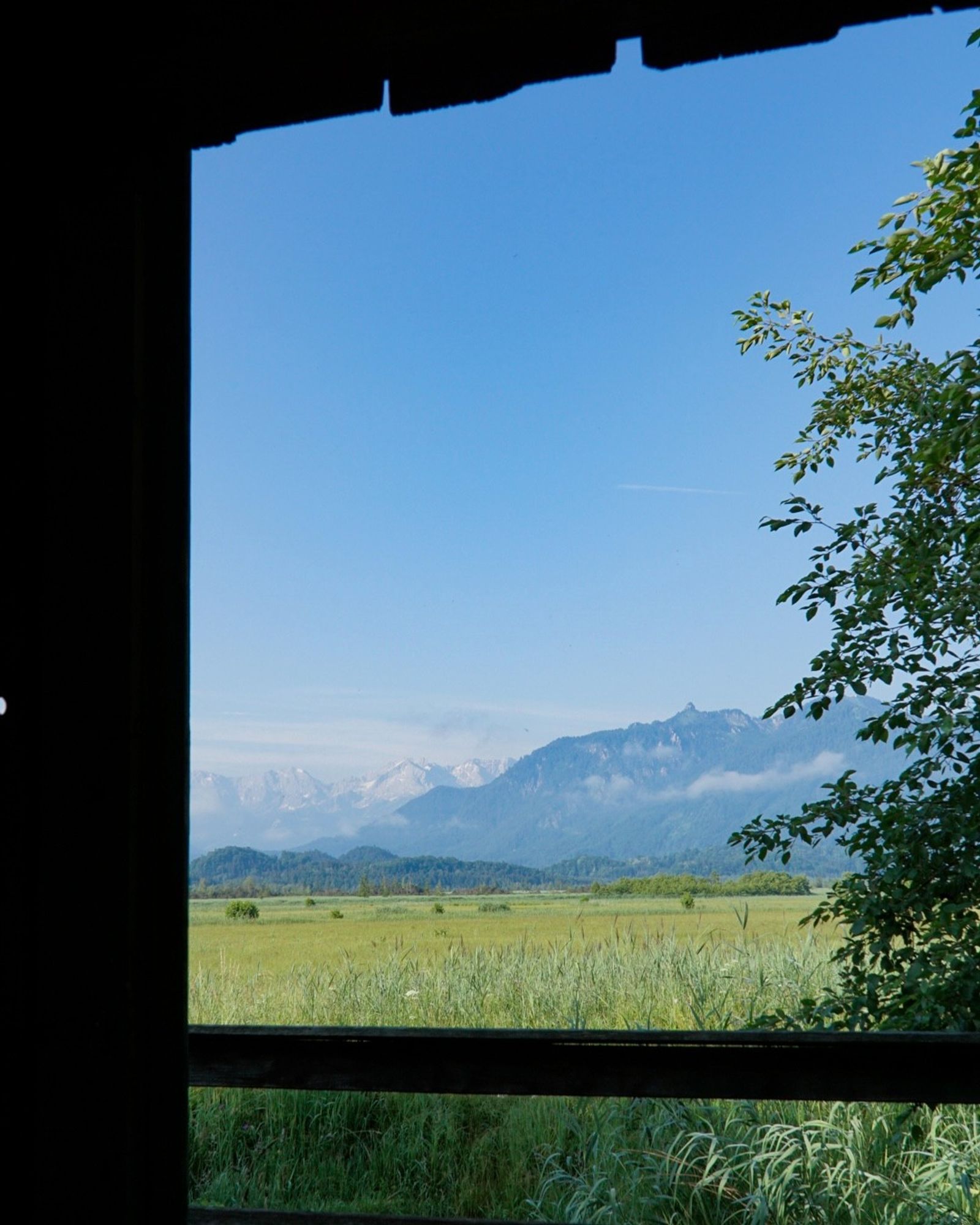 Blick Richtung Wettersteingebirge vom Murnauer Moos