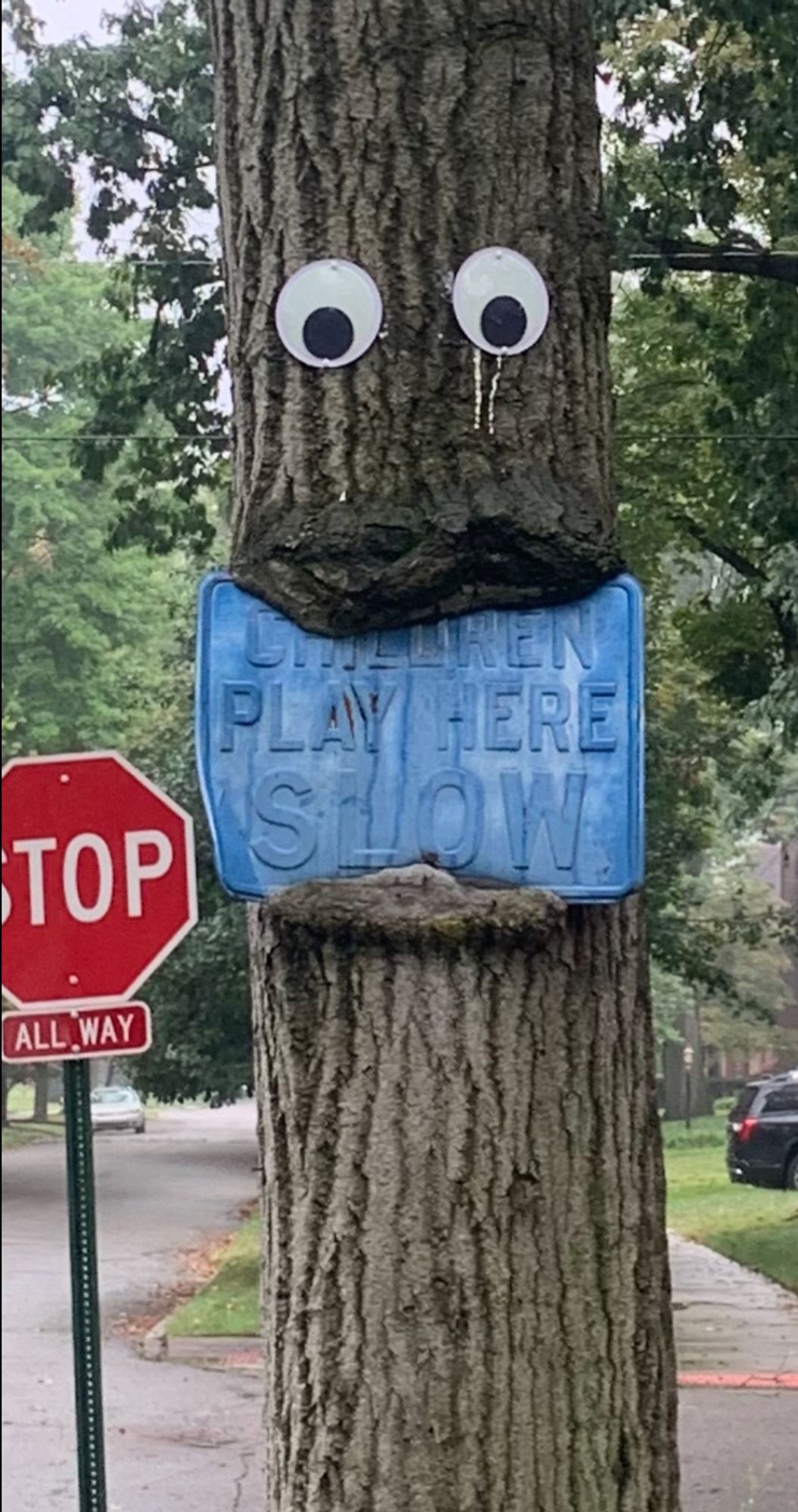 Photo of a tree that has slowly been growing around a blue metal “children play here slow” sign, now with giant googly eyes nailed above it so it looks like a mouth. Next to a road with a stop sign nearby.