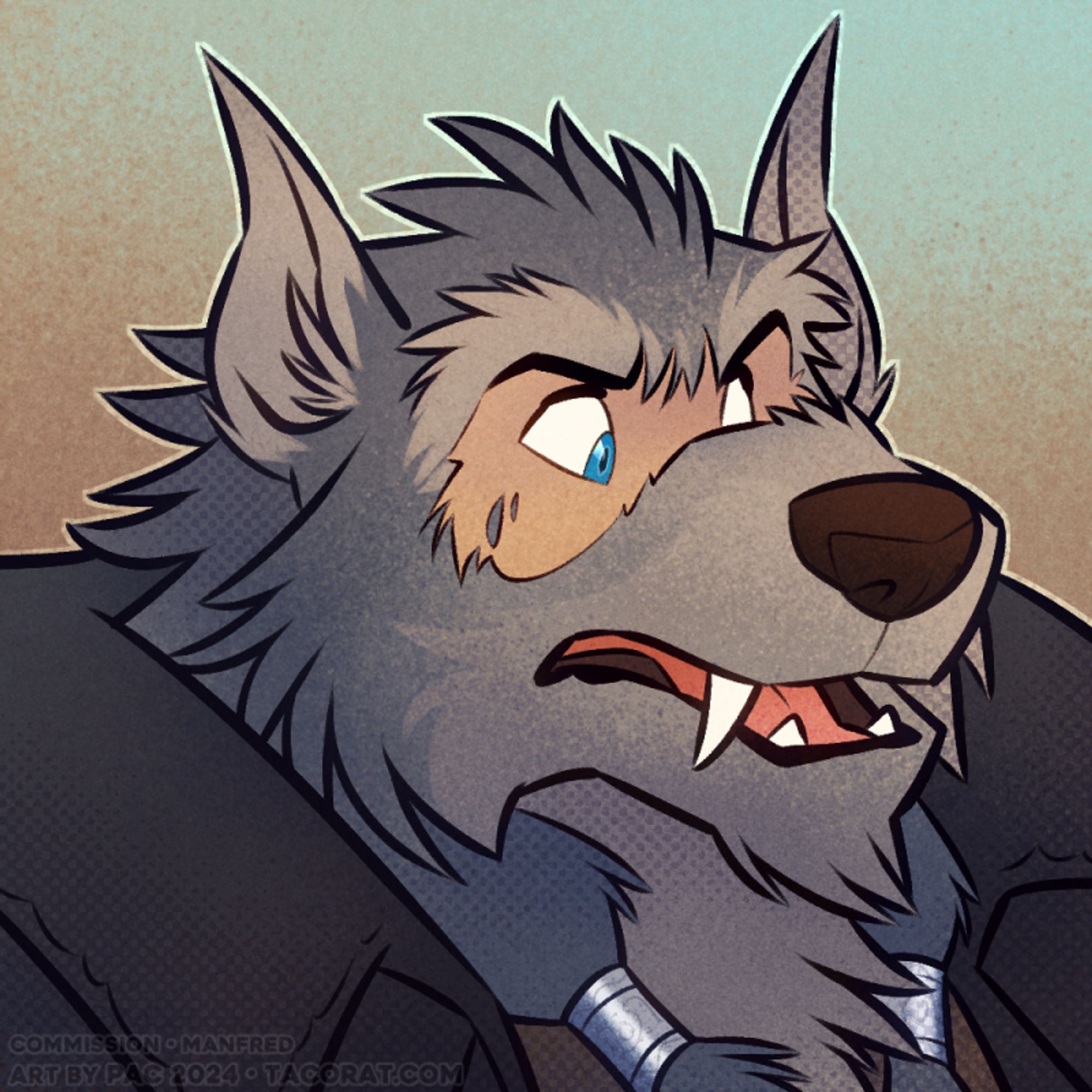 headshot flats commission for manfred of a human transforming into a gray wolf anthro