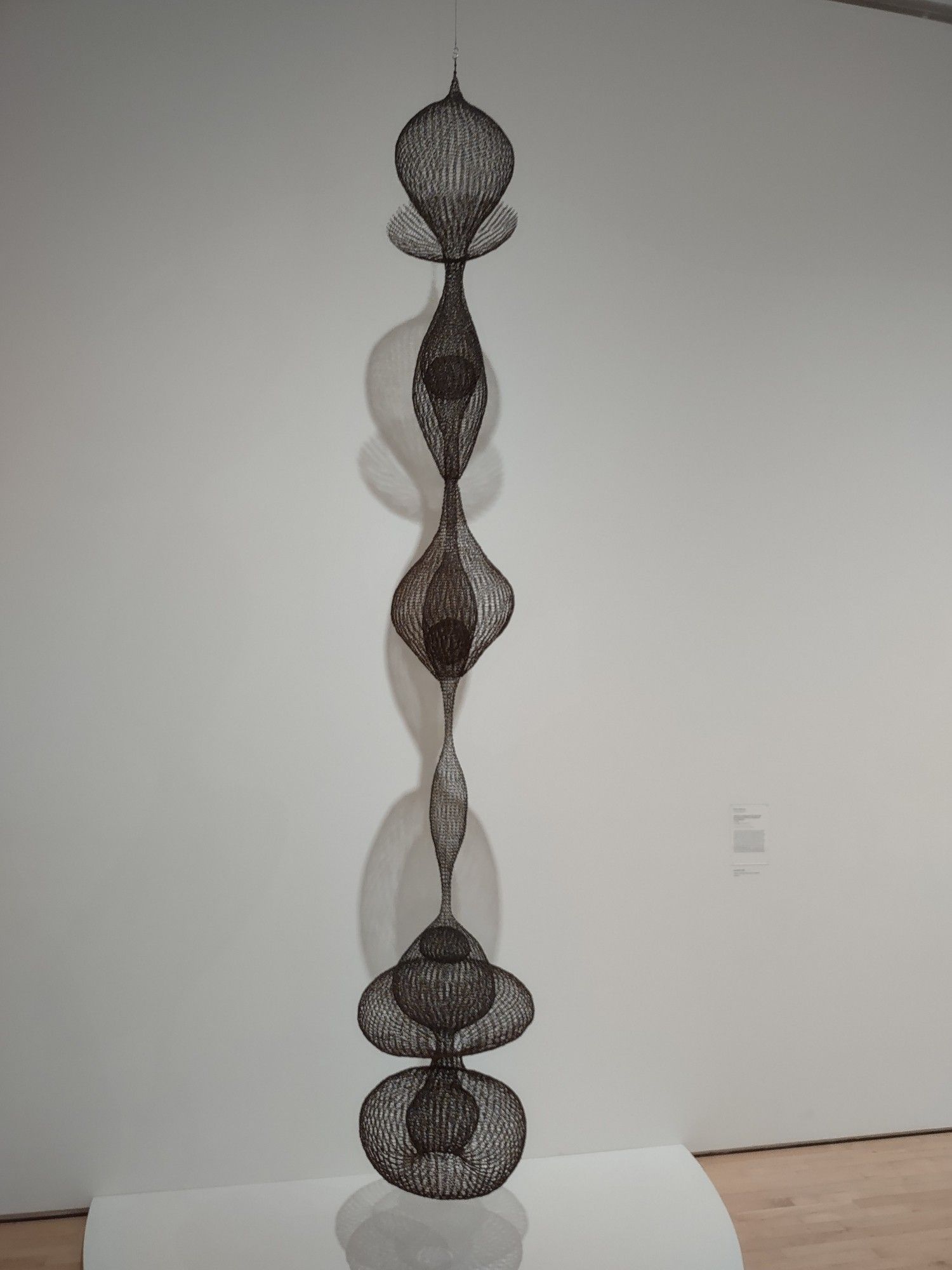 A hanging sculpture made of metal wire, with many curved lobes, some of which are inside each other.