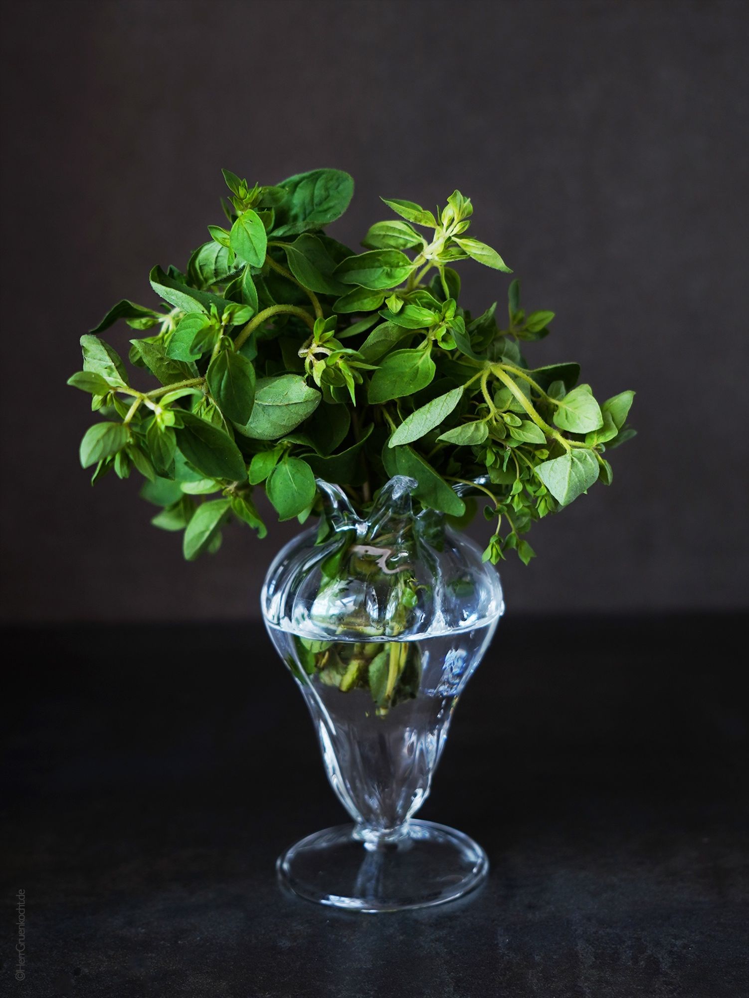 Kleine Glasvase mit frischem Oregano-Strauß auf dunklem Hintergrund