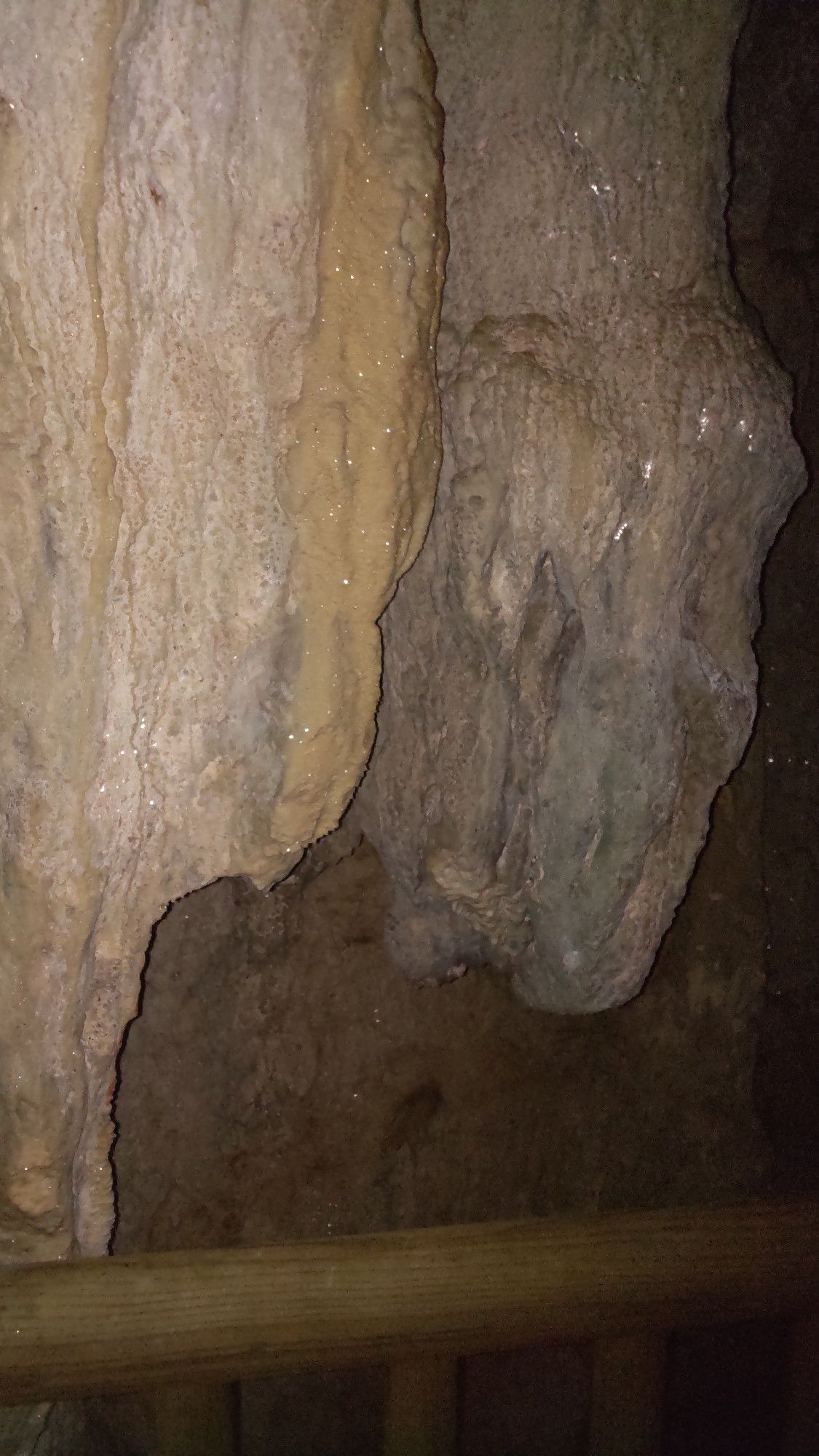 Picture in a cave, with flowstone on the wall. At the bottom is a wooden railing.