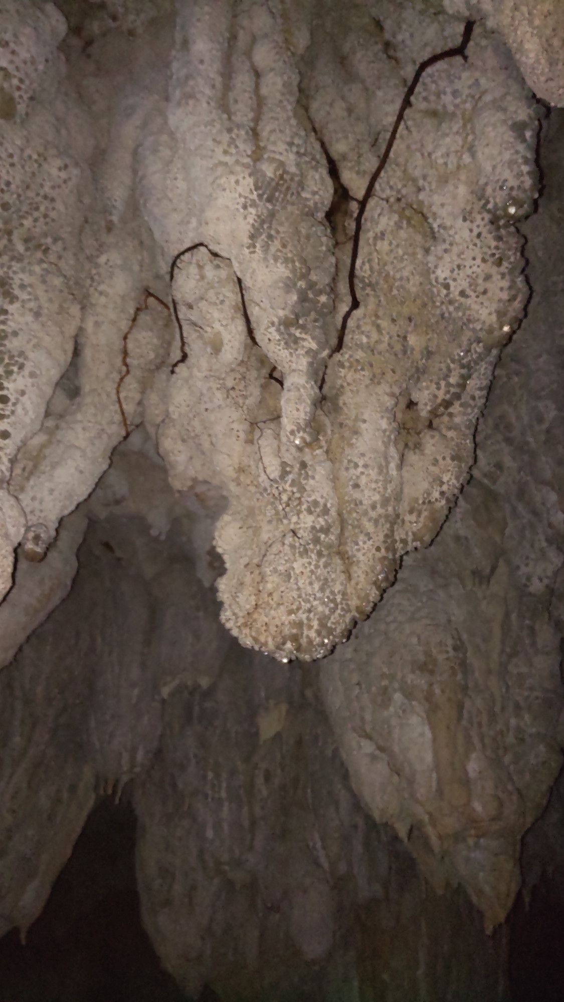 Picture in a cave, showing some older stalactites that are not well formed, possibly due to human action. There are some bright spots at the tips of the stalactites where water is dripping off.