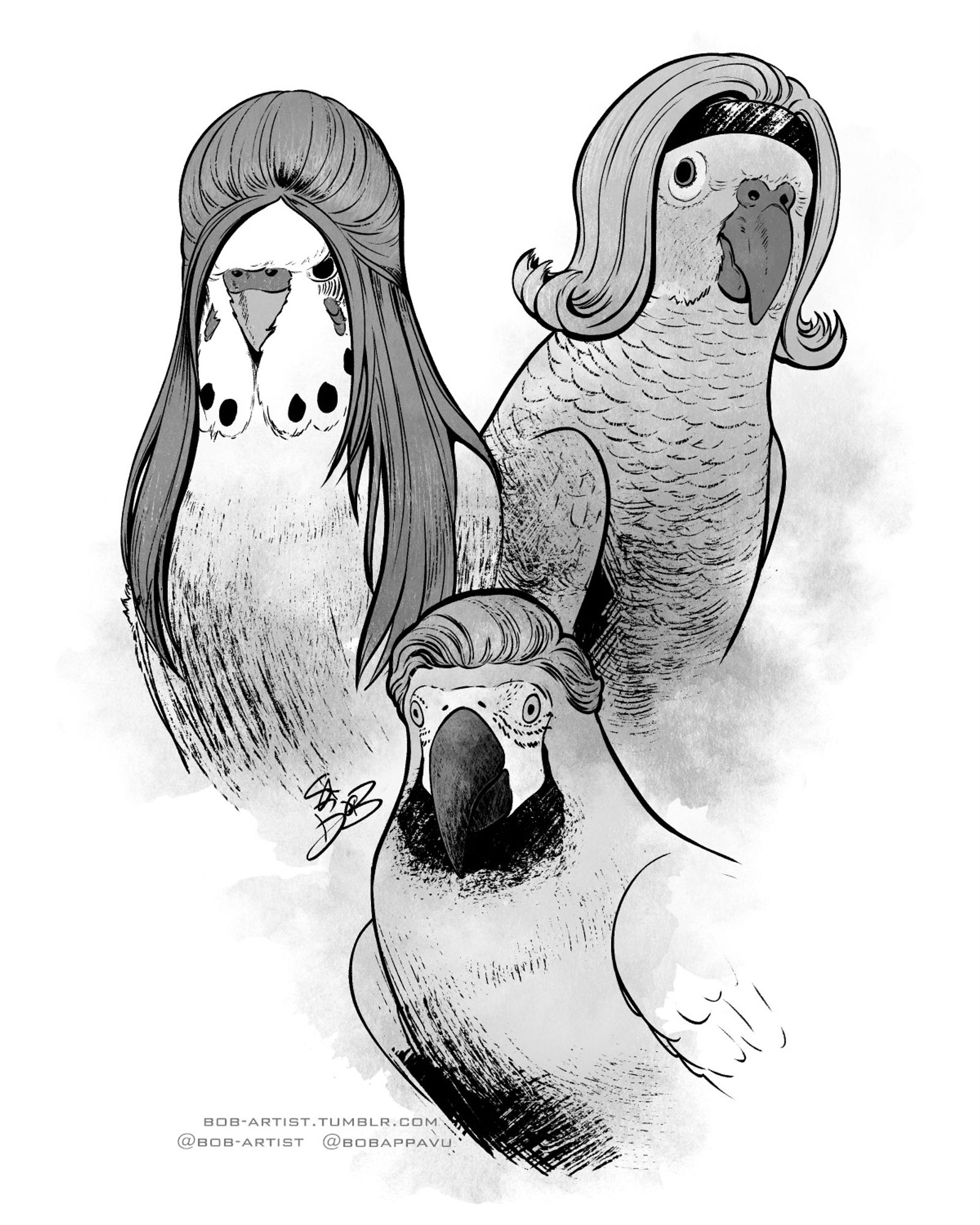 Black and white ink drawings of three birds with iconic hairstyles: Budgie with Snookie poof, Amazon parrot with 1960’s flip, Blue and gold macaw with George Clooney gentleman’s cut