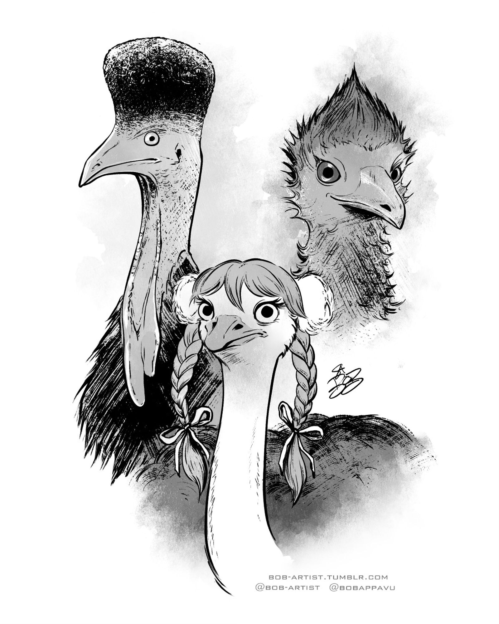 Black and white ink drawings of three birds with iconic hairstyles: Cassowary with hi-top fade, Emu with faux hawk, Ostrich with Britney Spears pigtails