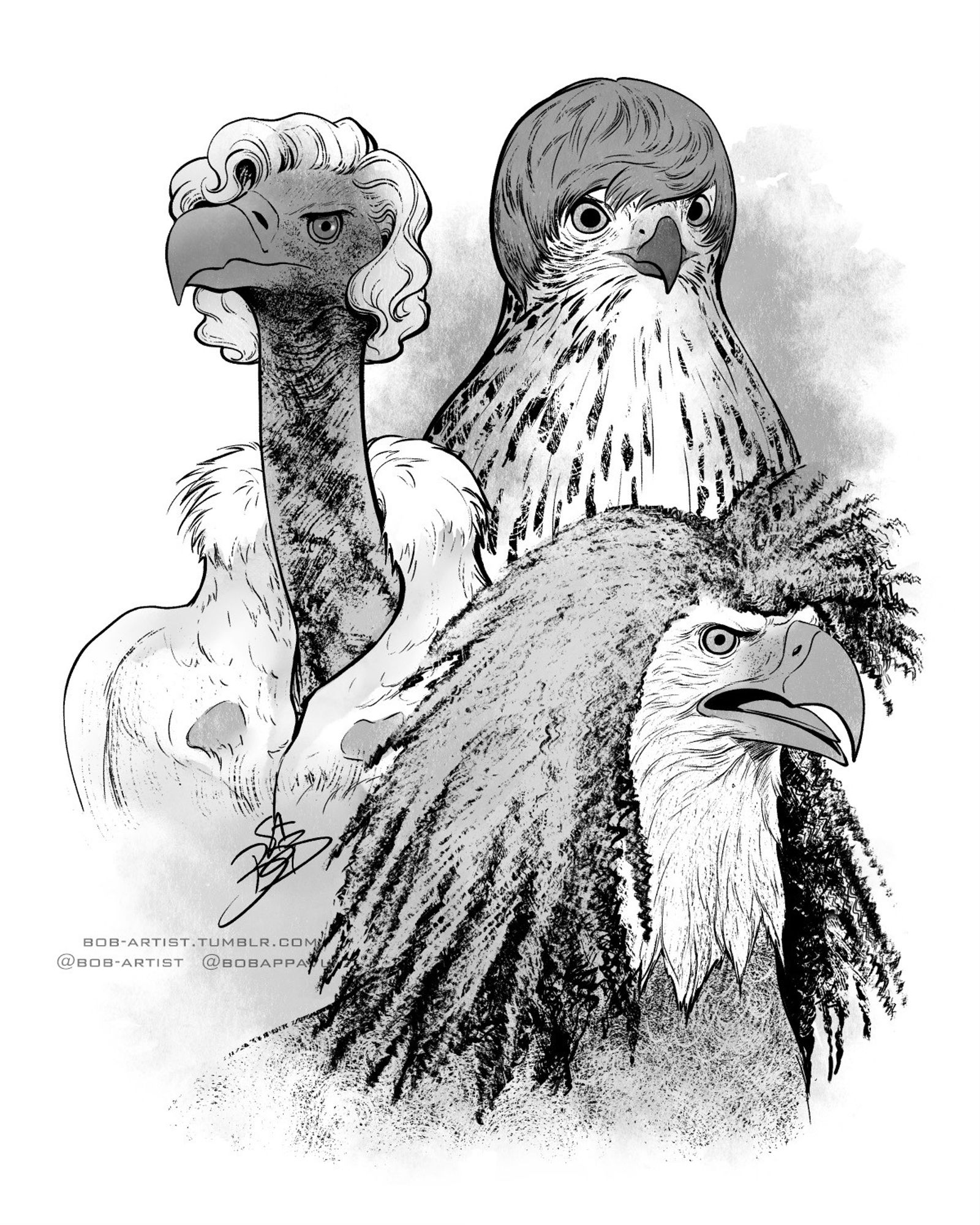 Black and white ink drawings of three birds with iconic hairstyles: Cape vulture with Marilyn Monroe waves, Immature Cooper’s hawk with Bieber swoosh, Bald eagle with 1980s crimped hair