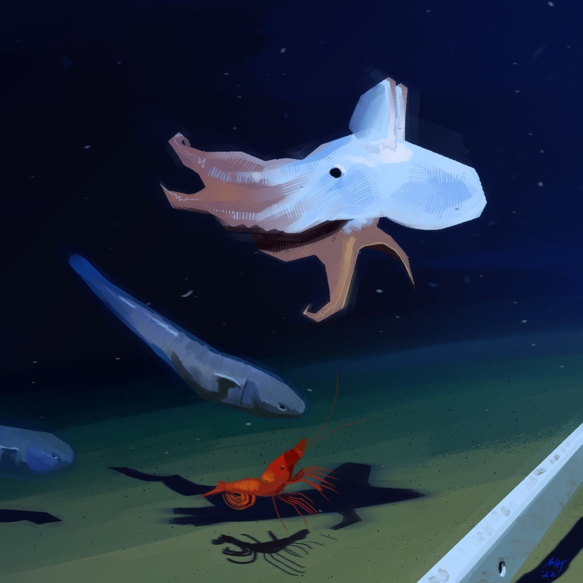 Deep sea critters, a red shrimp, a blue and white Dumbo Octopus, and some weird little blue fish. The ocean floor is greenish-yellow from the lights of the submersible 