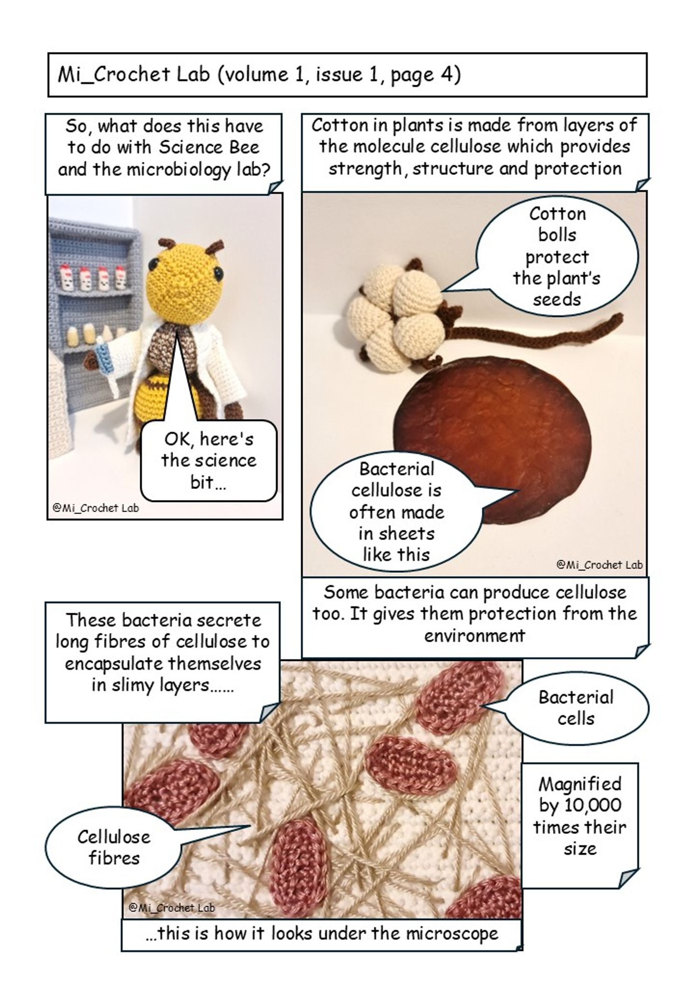 Mi_Crochet Lab Volume 1 Issue 1 Page 4. All items are crocheted. 
Image 1: Science bee in the microbiology lab, holding a micropipette. Text states "So, what does this have to do with Science Bee and the microbiology lab?". Science Bee says "Ok, here's the science bit".
Image 2: A cotton stem and flower, next to a piece of bacterial cellulose. Text states "Cotton in plants is made from layers of the molecular cellulose which provides strength, structure and protection" and “some bacteria can produce cellulose too. It gives them protection from the environment". A speech bubble says "cotton bolls protect the plant's seeds" and “bacterial cellulose is often made in sheets like this”.
Image 3: Pink rod-shaped bacterial cells surrounded by lines of cellulose fibres against a white background. Text states "These bacteria secrete long fibres of cellulose to encapsulate themselves in slimy layers", "this is how it looks under the microscope" and “Magnified by ten thousand times their size".