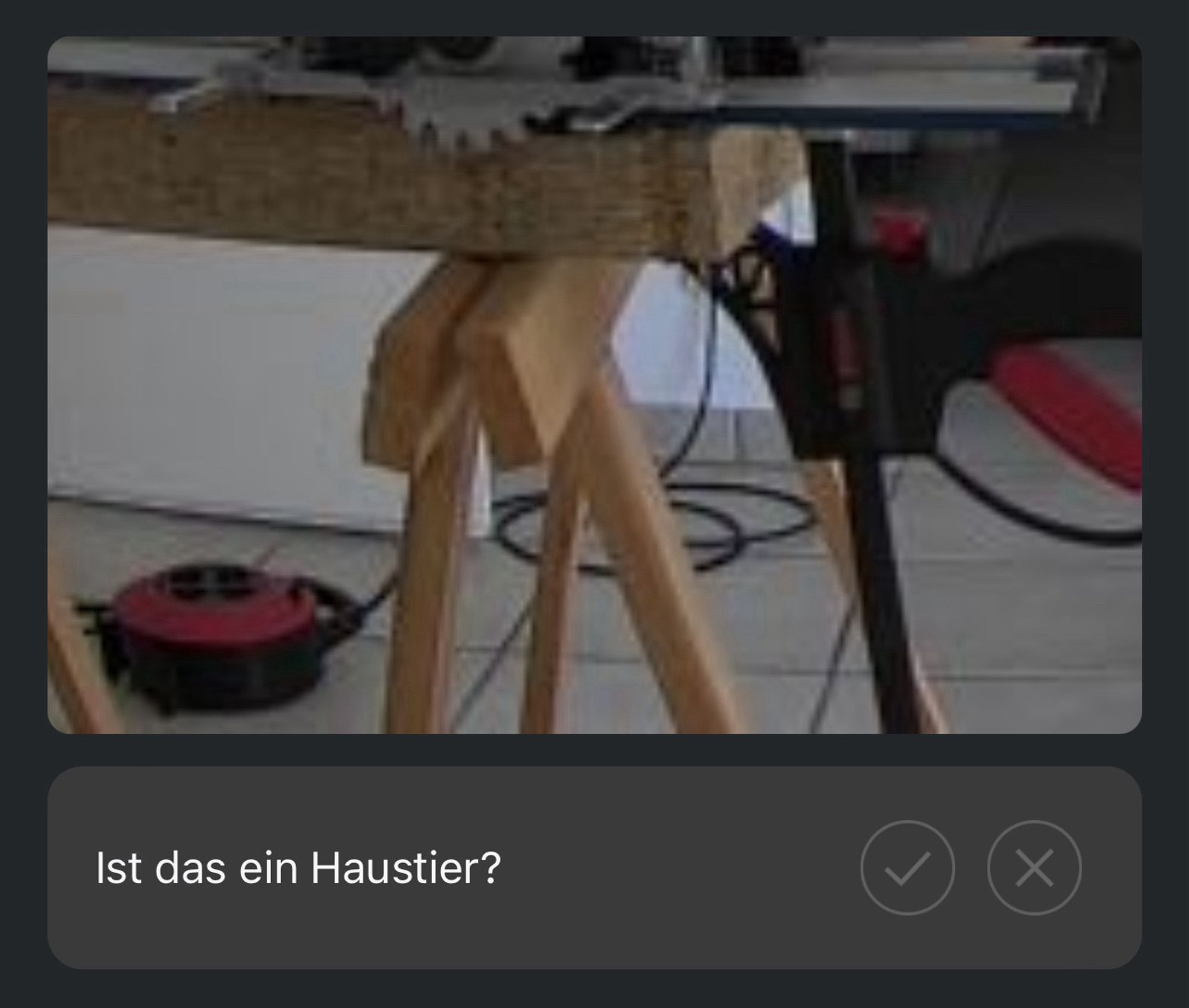 Trestle of a work table with a clamp on it. Question from the camera SW below; asking „is this a pet? yes/no”.