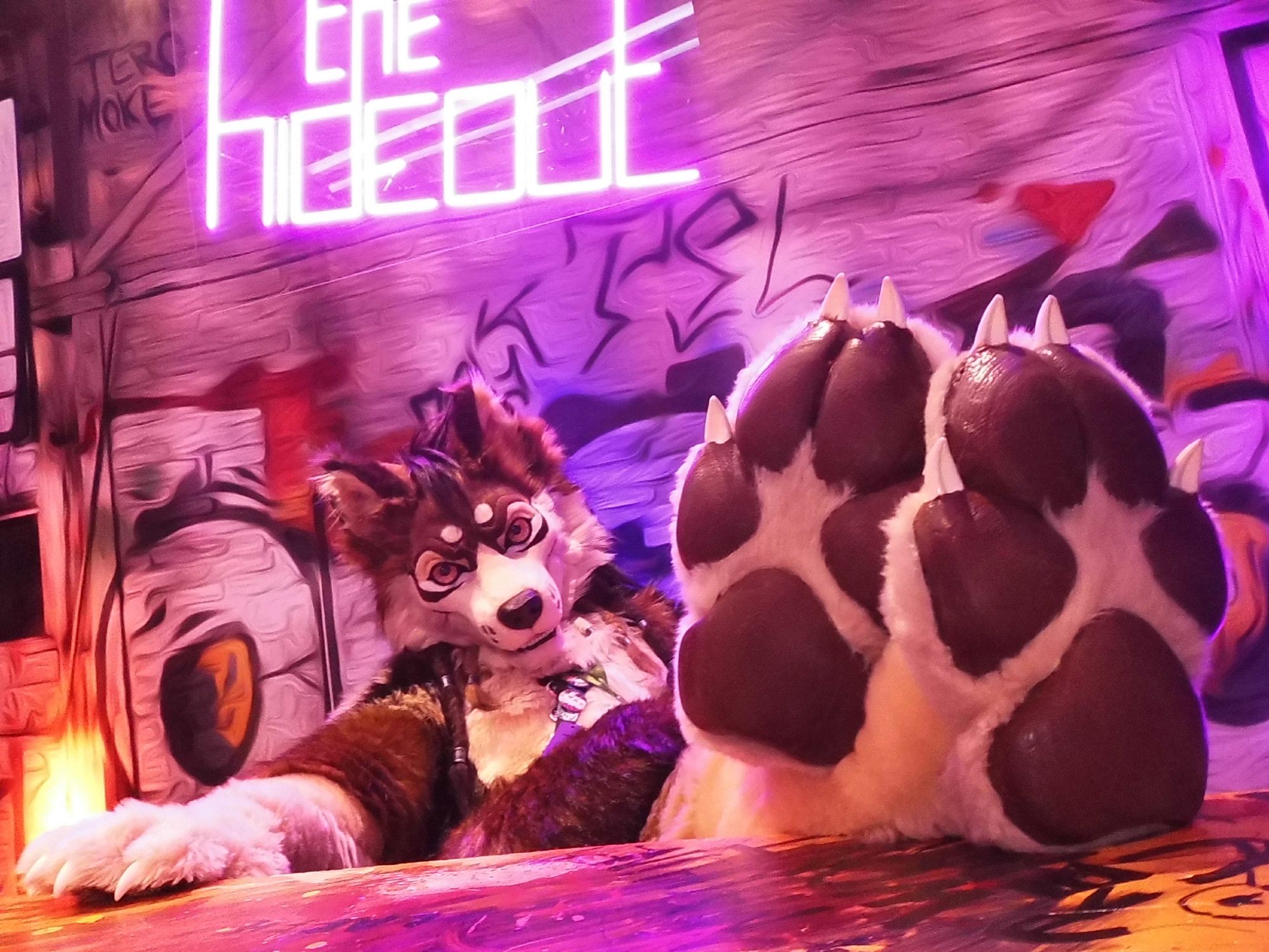 Photograph of Taz'rir, a wolf fursuit, sat reclined back in a pink-orange neon lit room, his paws up on the table in the foreground of the shot. A sign above him reads "The Hideout"