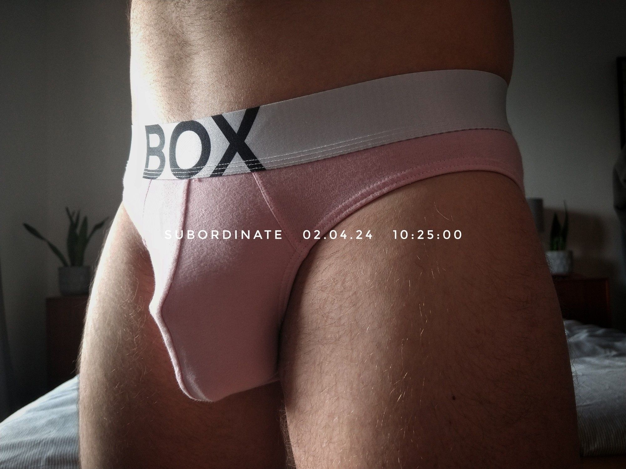 Close up of a pair of pink briefs with the visible outline of a chastity cage underneath.