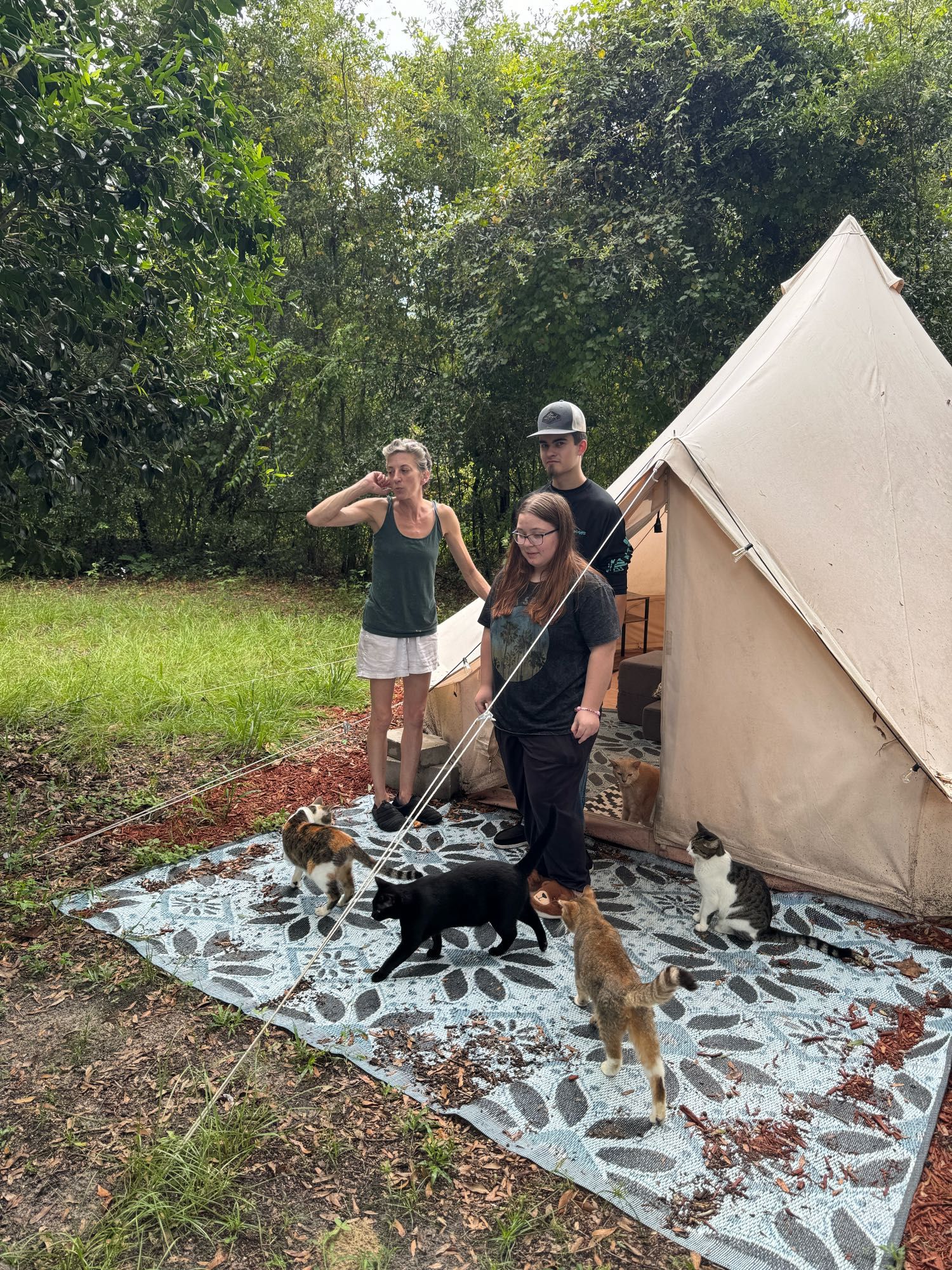 A few people standing in front of a tent with several cats at their feet.