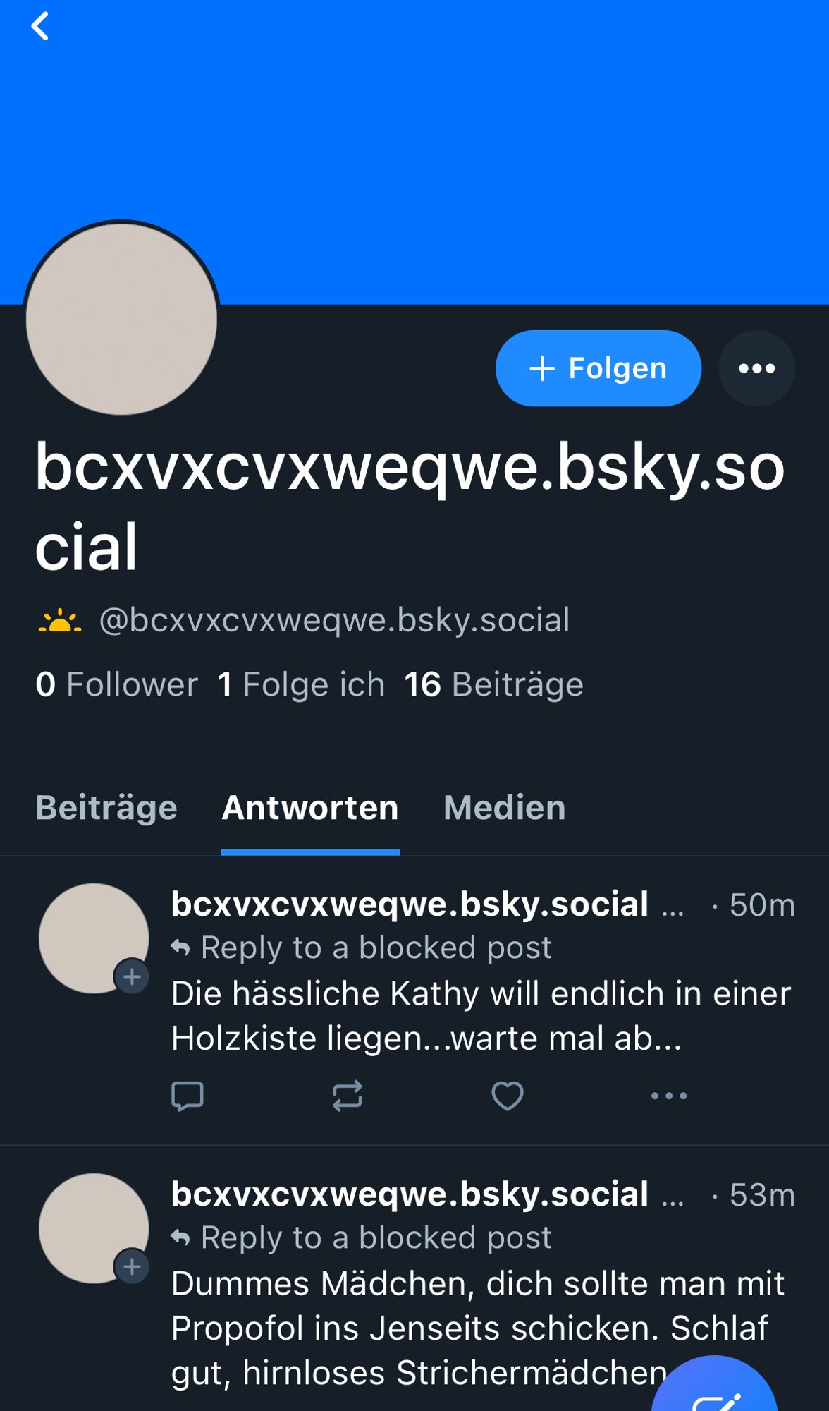 Screenshot vom oben erwähnten Account