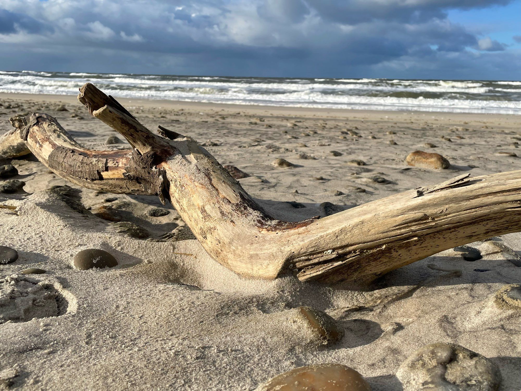 Blick auf den Strand und das Meer.
Im Vordergrund ein Stück Treibholz.