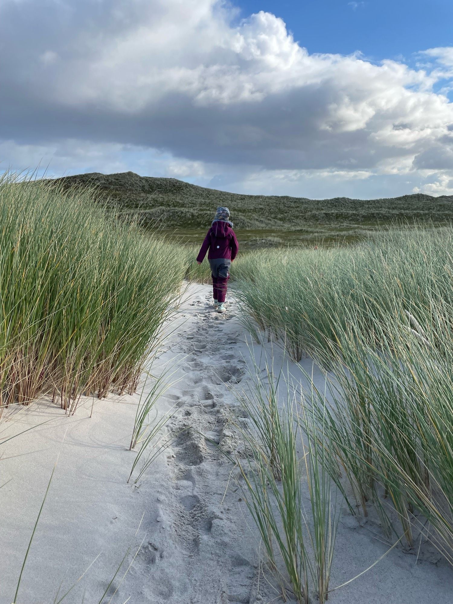 Bild eines Kindes, dass durch die Dünen zum Strand geht.