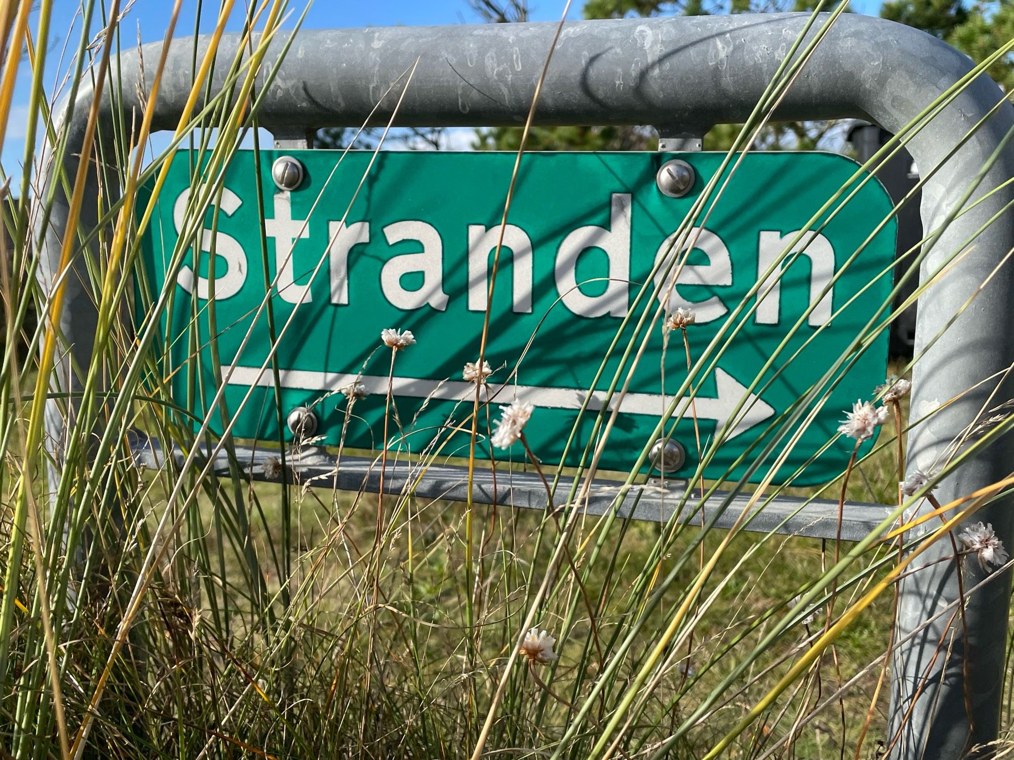 Schild mit der Aufschrift:
„Stranden“