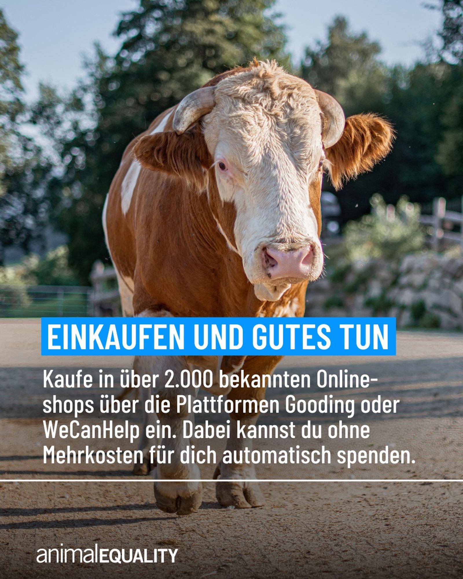 Einkaufen und gutes Tun
Kaufe in über 2000 bekannten Online-shops über die Plattformen Gooding oder WeCanHelp ein. Dabei kannst du ohne  Mehrkosten für dich automatisch spenden