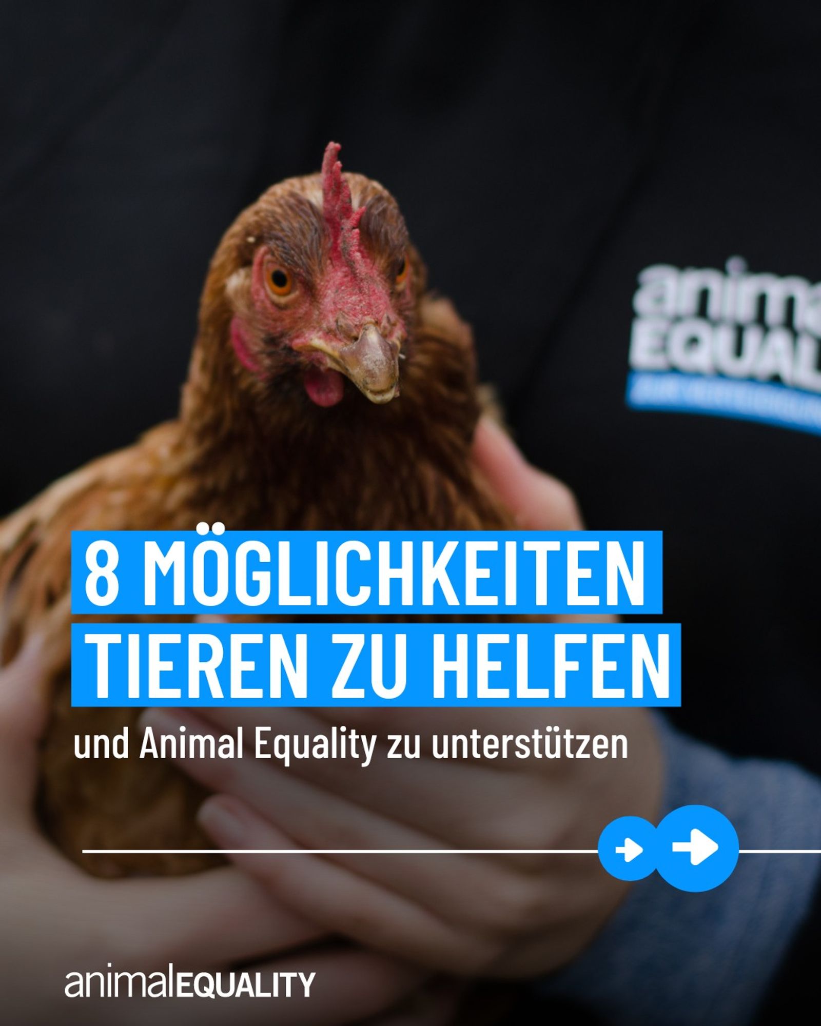 8 Möglichkeiten Tieren zu helfen und Animal Equality zu unterstützen.

Im Hintergrund ein Huhn das in der Hand gehalten wird von einem Menschen mit Animal Equality Kleidung.