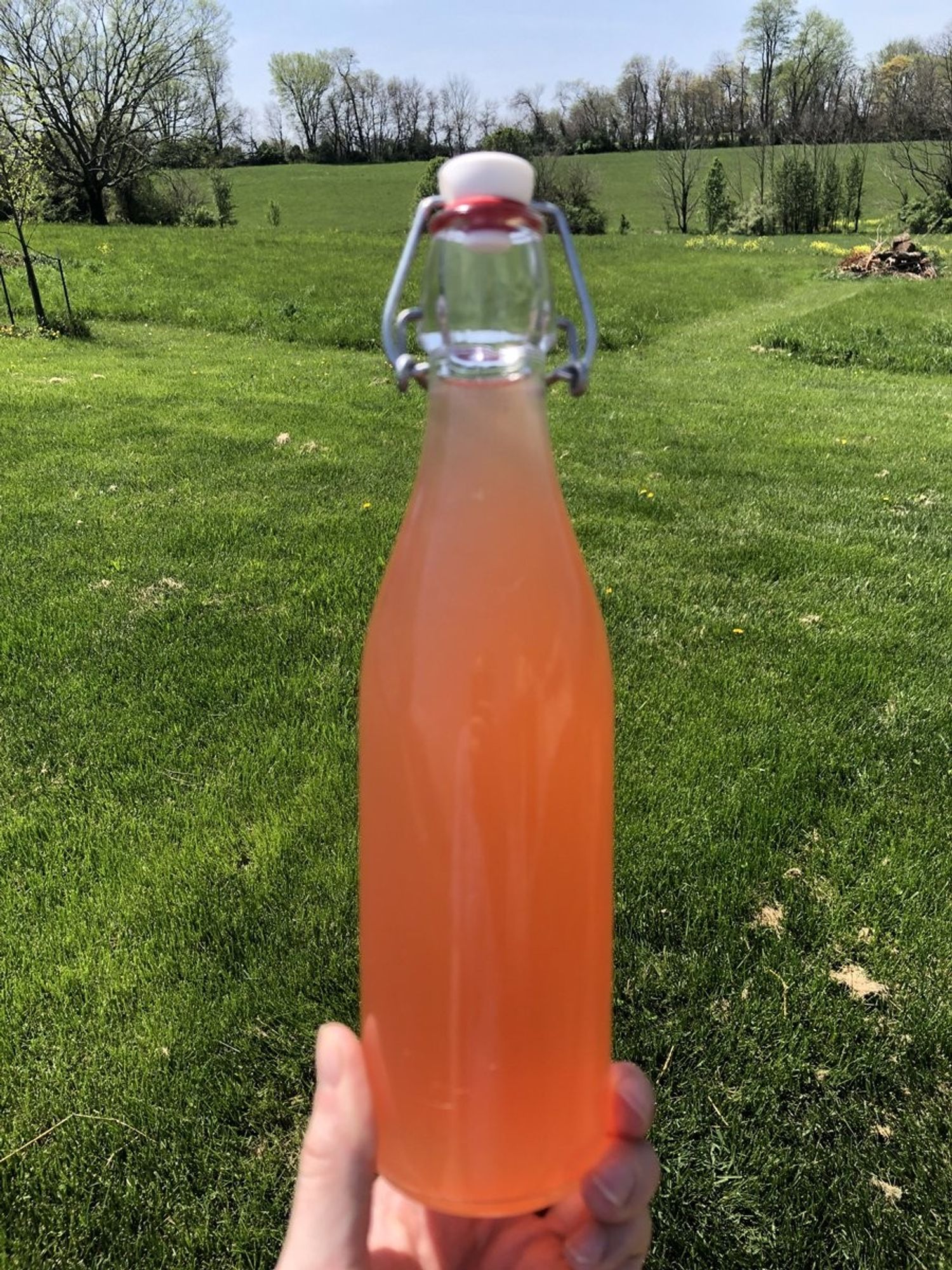 A pink liquid in a bottle shines in the sunlight against a green field.