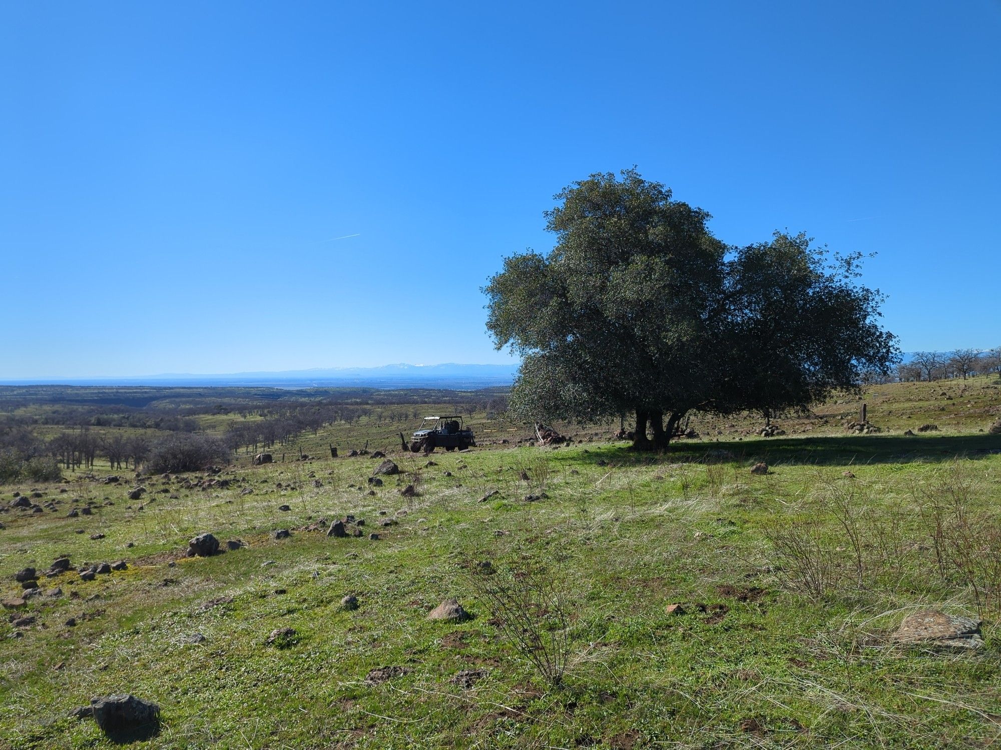 View of landscape. A large liveoak tree is at center, and an offroad vehicle stands next to it. Behind are rolling but rocky fields and trees. Mountains are visible in the distance