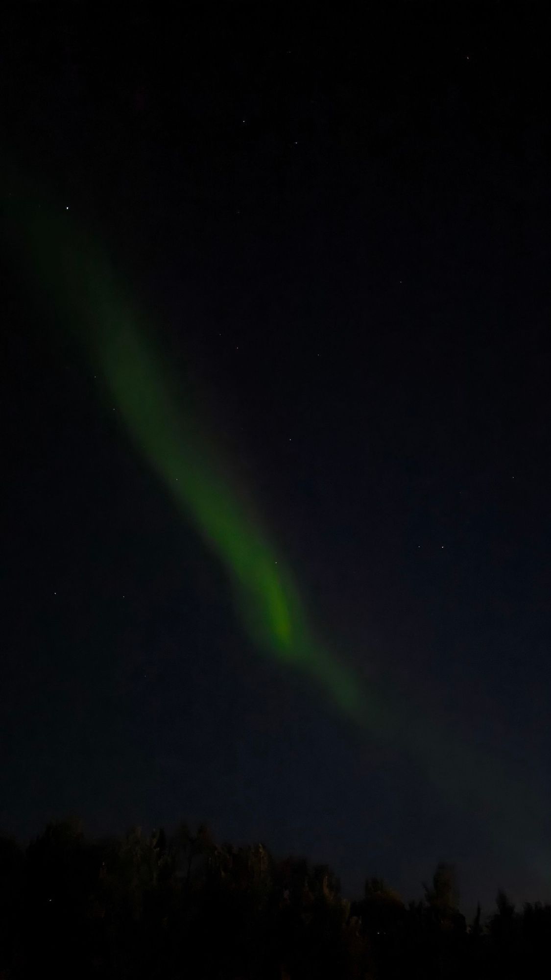 Polarlichter, aurora über Tromsø