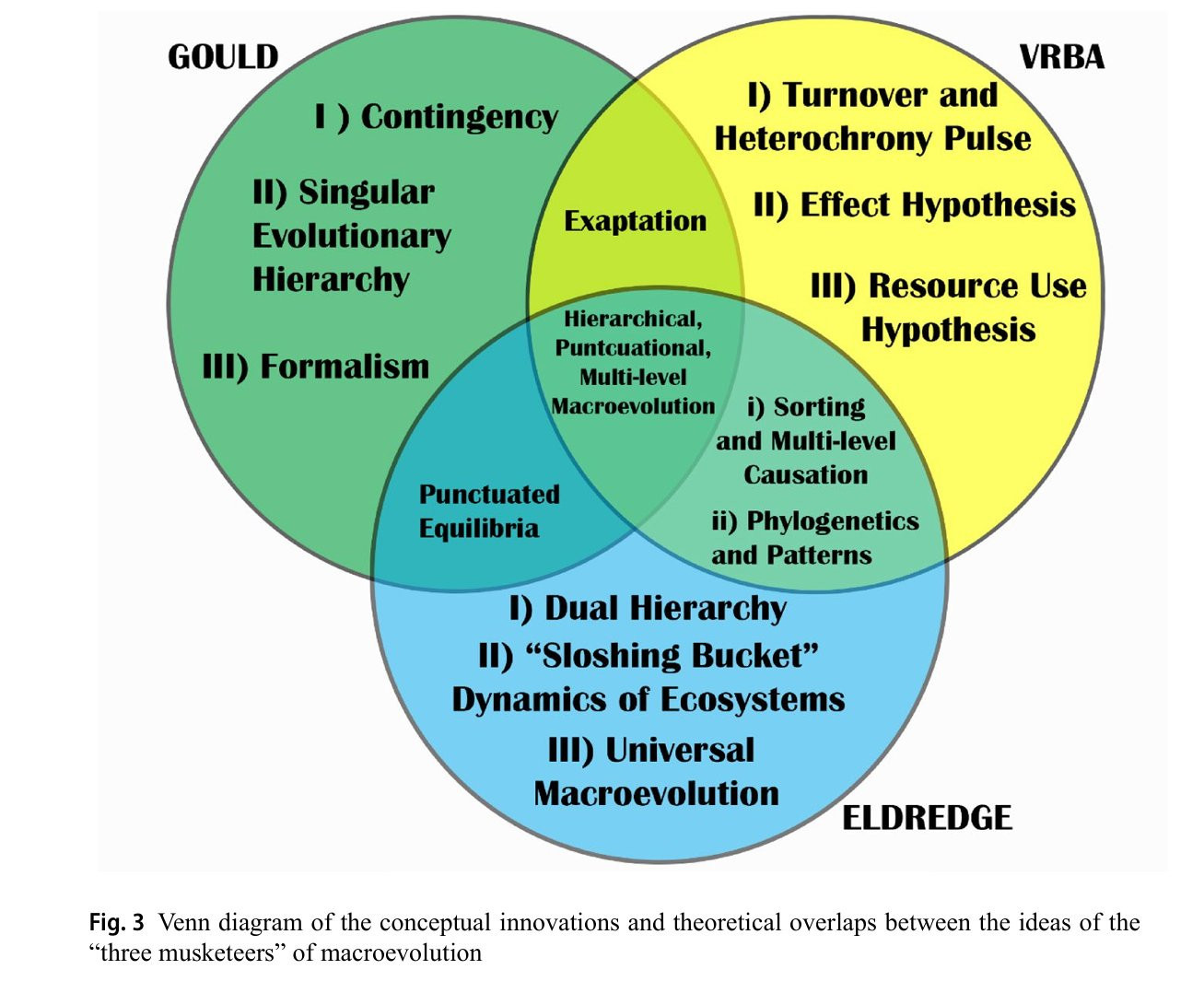 Venn diagram of the conceptual innovations and theoretical overlaps between the ideas of the “three musketeers” of macroevolution
Gould, Vrba, and Eldredge