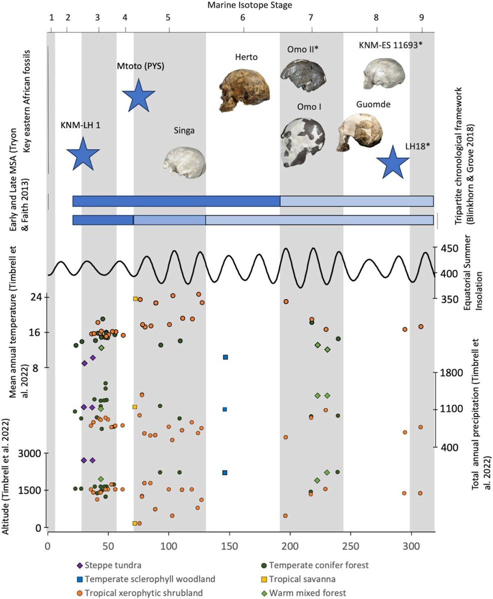 Timeline of eastern African MSA showing the broad chronological placement of key eastern African MSA fossils (image of Herto by and courtesy of T. White, all others courtesy of C. Stringer), with those that have not been directly dated highlighted with an asterisk (*)