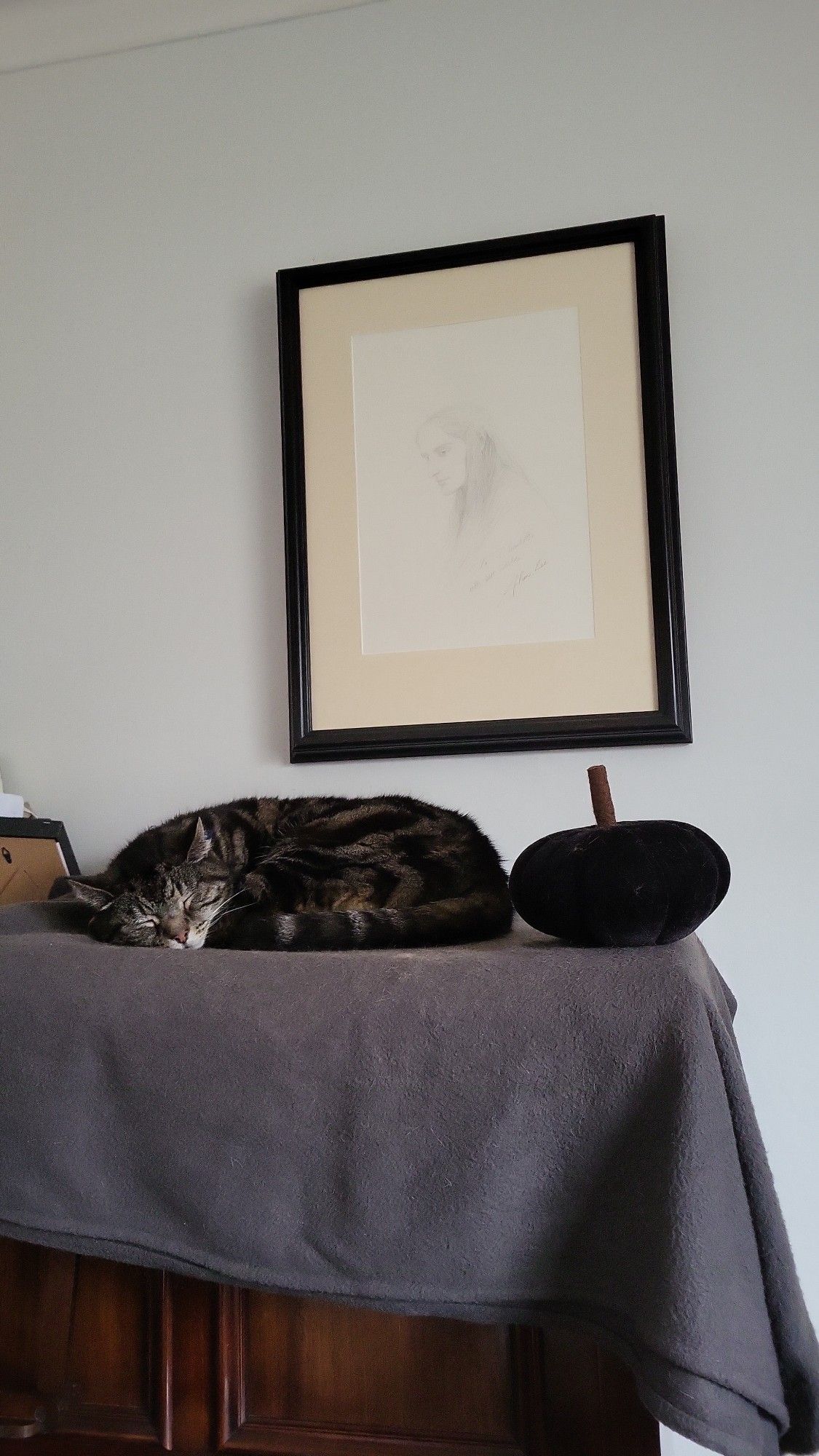 A tabby cat is curled up on a grey blanket next to a black velvet pumpkin.
A framed picture of an elf is on the wall