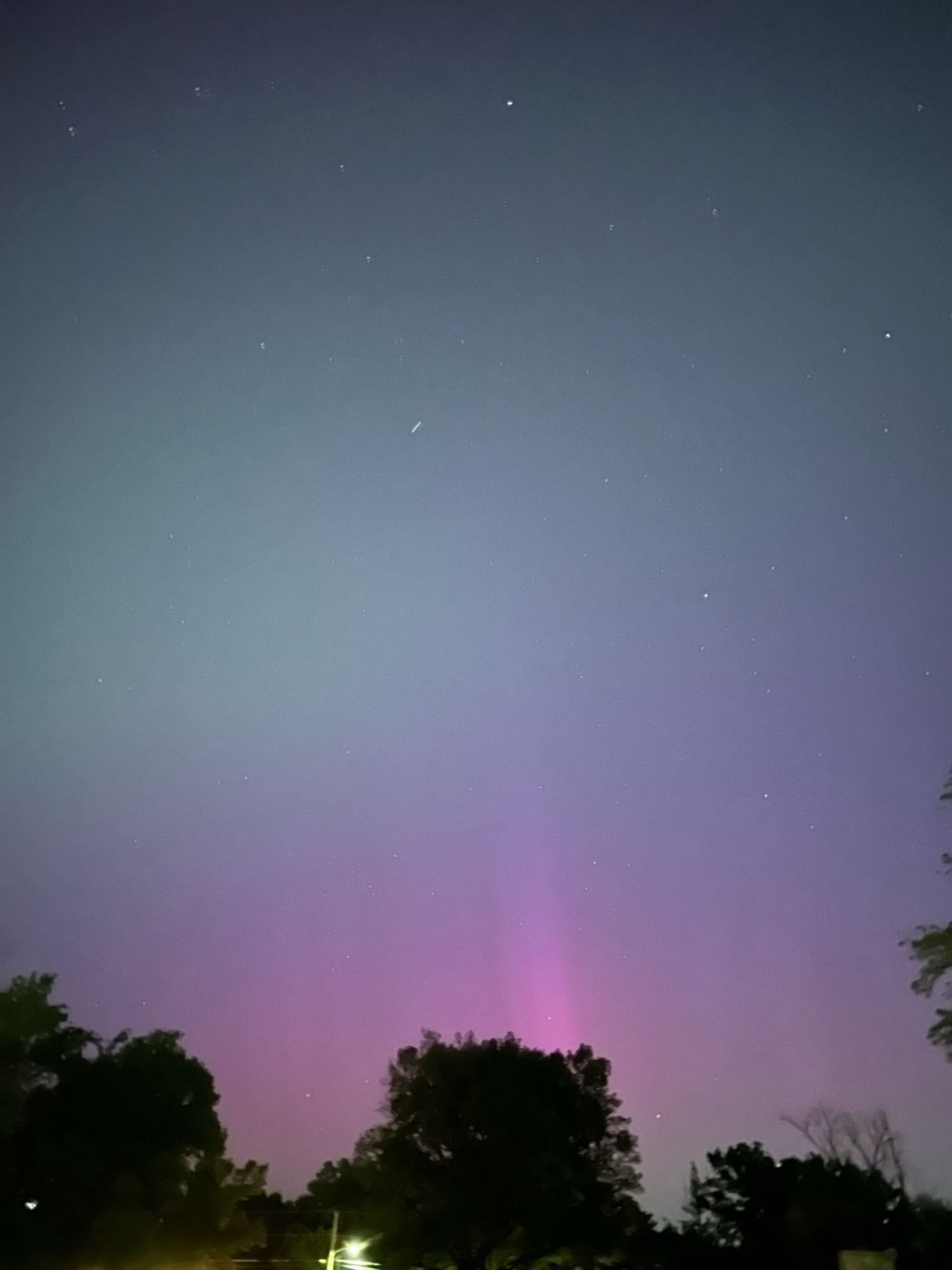 A silhouette of trees against a pink/green gradient sky.