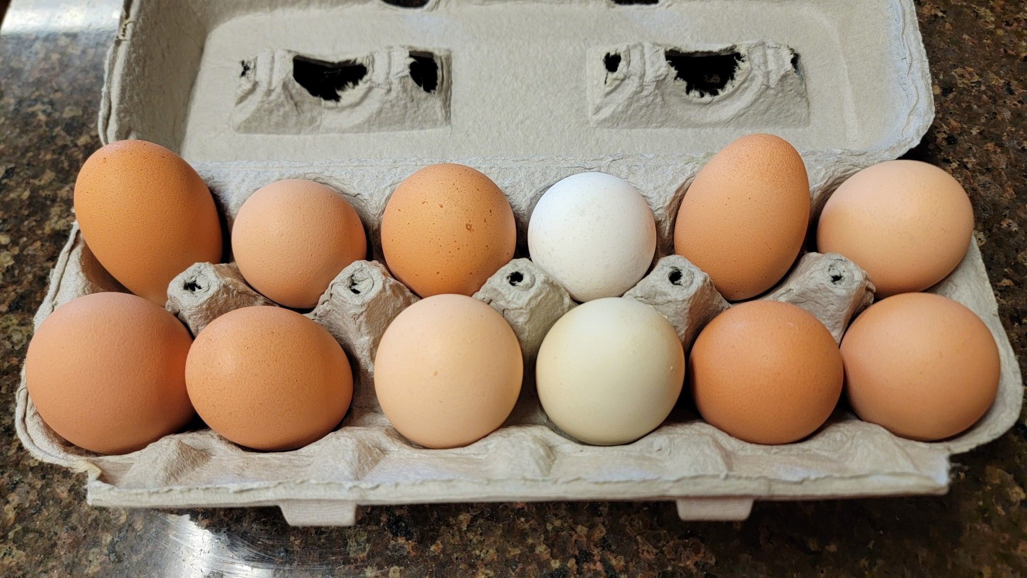 1 dozen eggs in a variety of colors and sizes