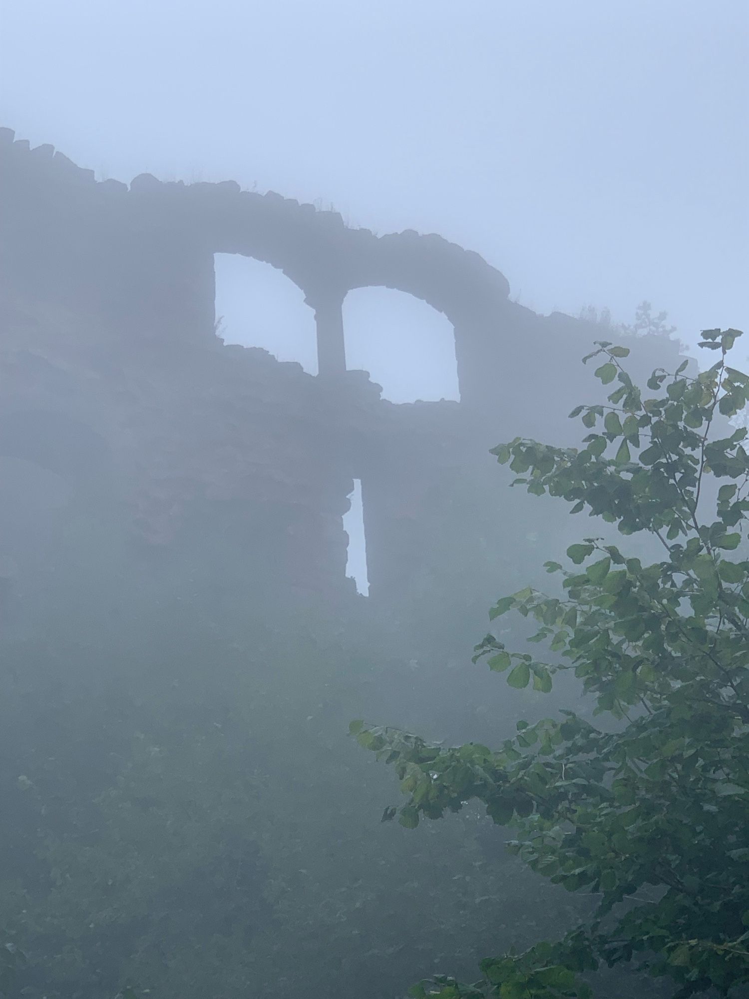 Die Fassade einer Burg im Nebel, deren Fenster und Schiessscharte einem Gesicht im Nebel ähneln.