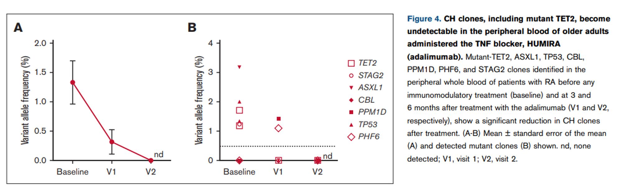 Figure 4. CH clones, including mutant TET2, become
undetectable in the peripheral blood of older adults
administered the TNF blocker, HUMIRA
(adalimumab). Mutant-TET2, ASXL1, TP53, CBL,
PPM1D, PHF6, and STAG2 clones identified in the
peripheral whole blood of patients with RA before any
immunomodulatory treatment (baseline) and at 3 and
6 months after treatment with the adalimumab (V1 and V2,
respectively), show a significant reduction in CH clones
after treatment. (A-B) Mean ± standard error of the mean
(A) and detected mutant clones (B) shown. nd, none
detected; V1, visit 1; V2, visit 2.