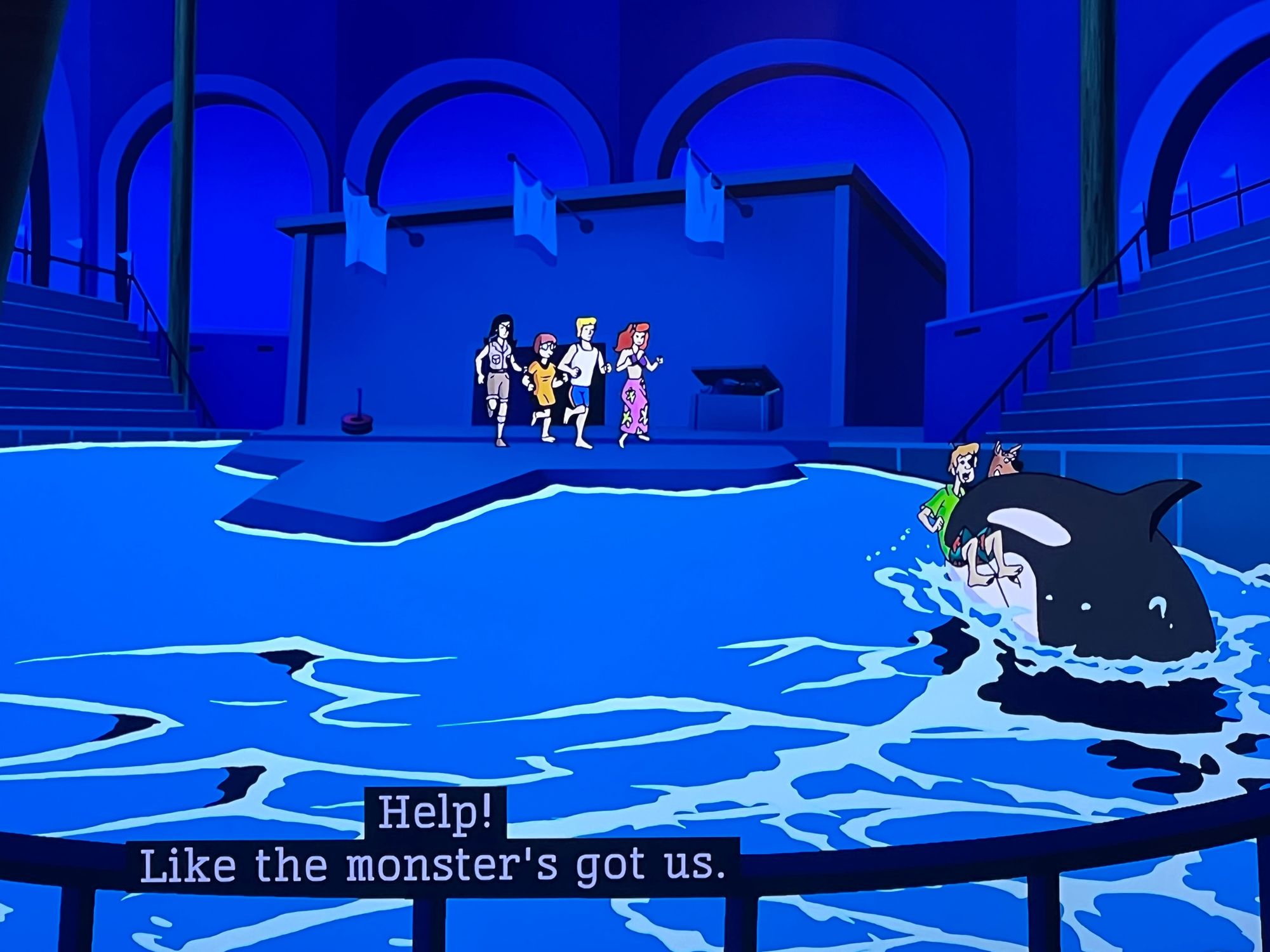 Orcas maybe murdering Shaggy and Scooby Doo