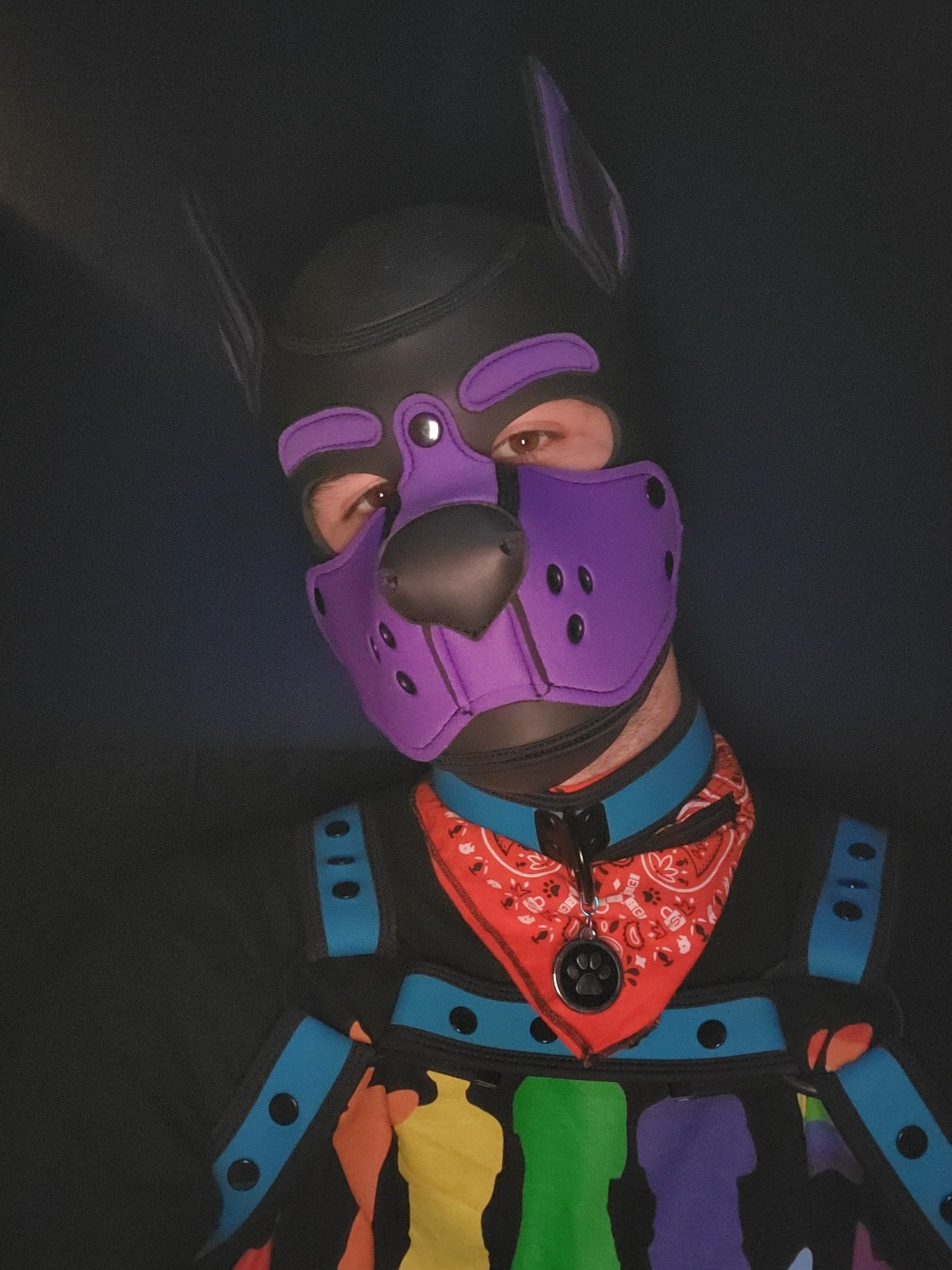 Outfit von Kerbi zur gestrigen Party: violette Puppyhood, orangenes Halstuch, aquablauer Neoprenharness und ein Shirt mit bunten Pupplayern darauf.