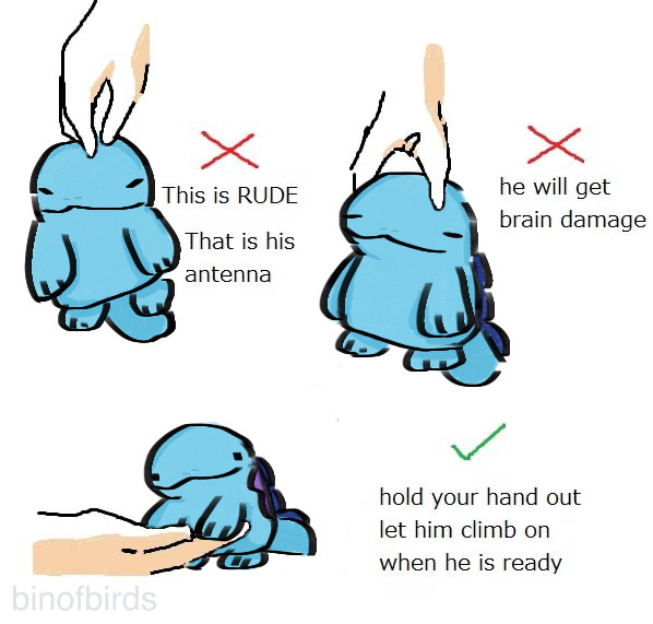 Hand picks up Quagsire by the very top of head, this is the wrong option, “This is RUDE! That is his antenna.” Hand then picks up Quagsire by the sides of his head, this is also the wrong option, “He will get brain damage.” Hand is held out for the Quagsire to hold, this is the correct option, “Hold your hand out. Let him climb on when he is ready.”