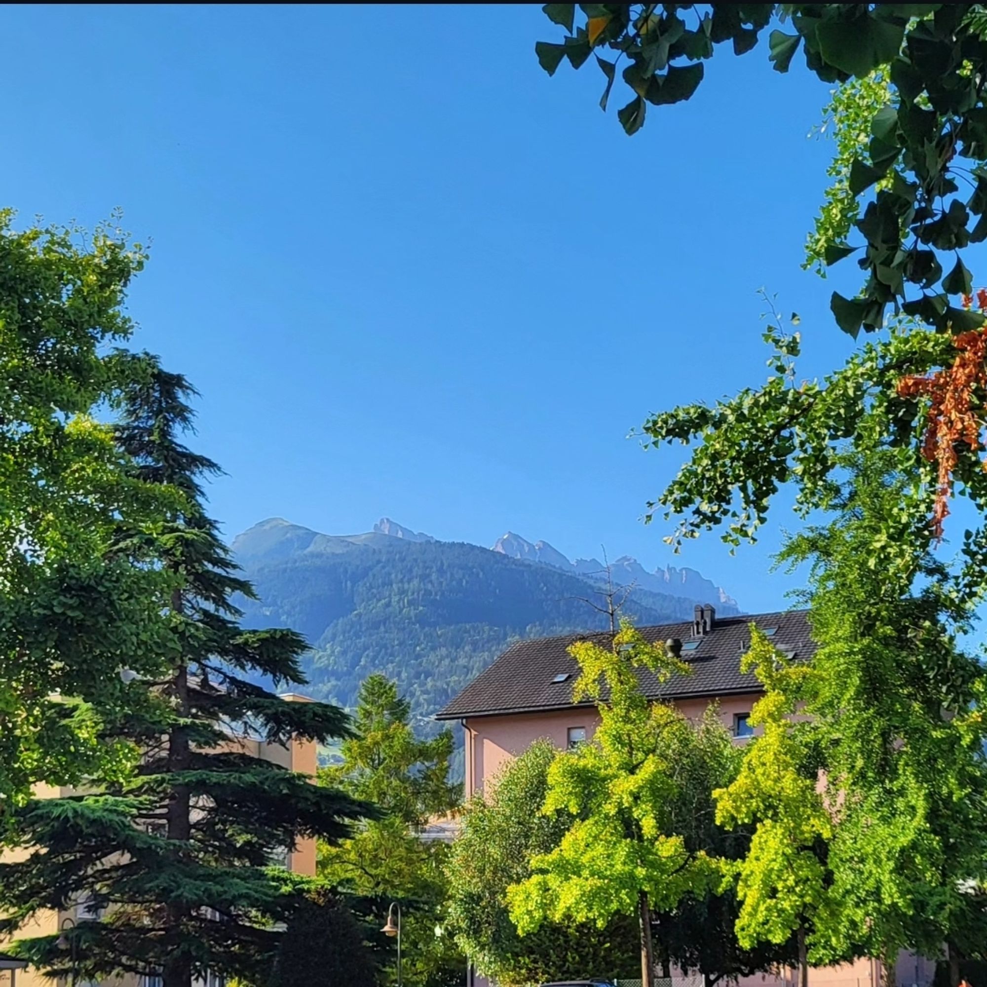 Les Dents du Midi Chablais valaisan Suisse