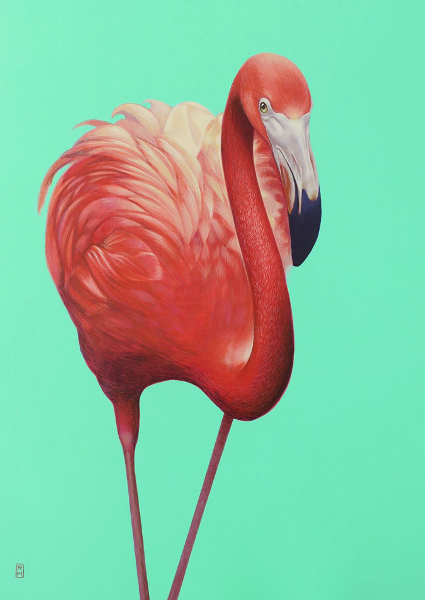 Flamingo painted on green background