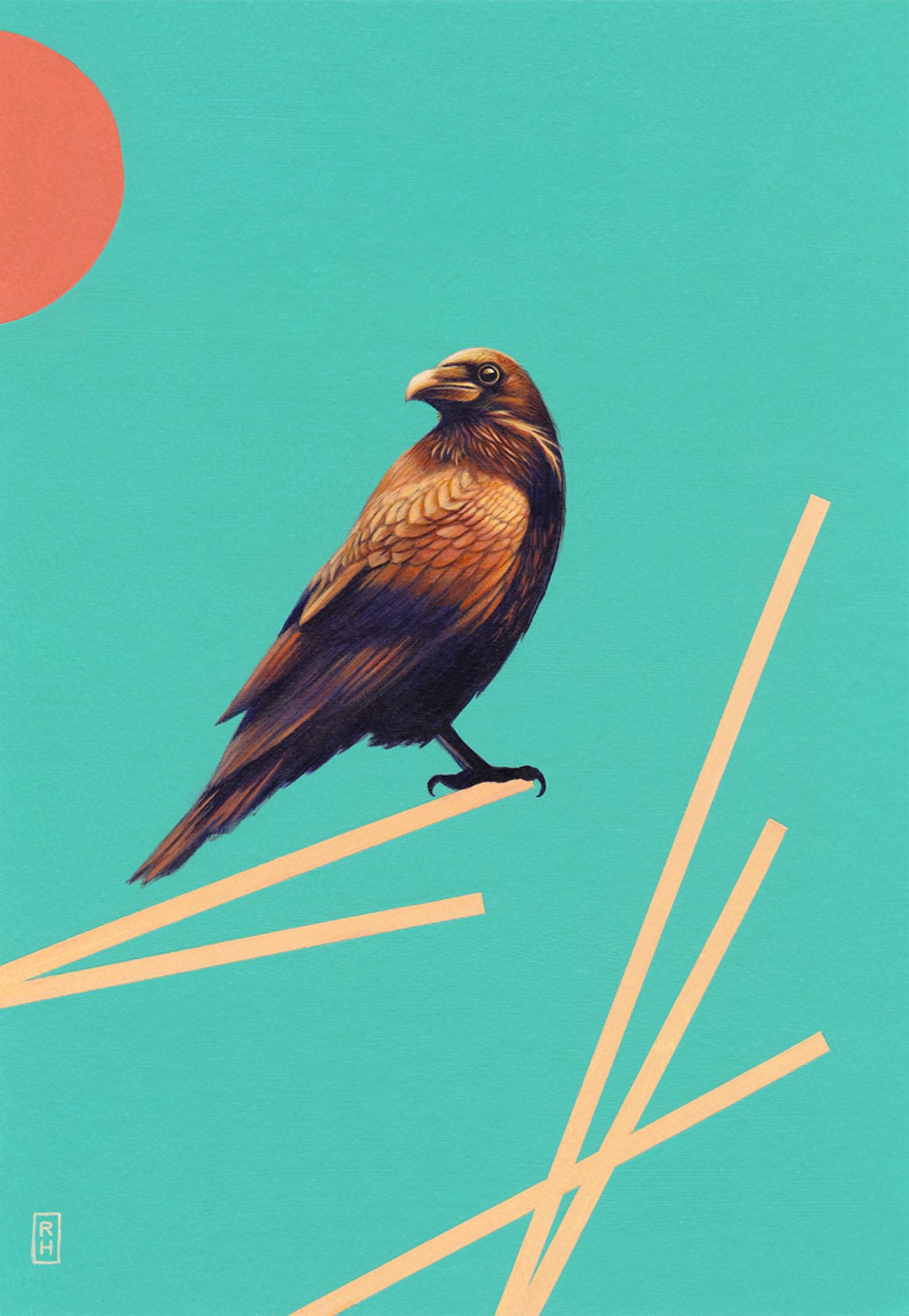 Bird of prey sits on pale line with teal background