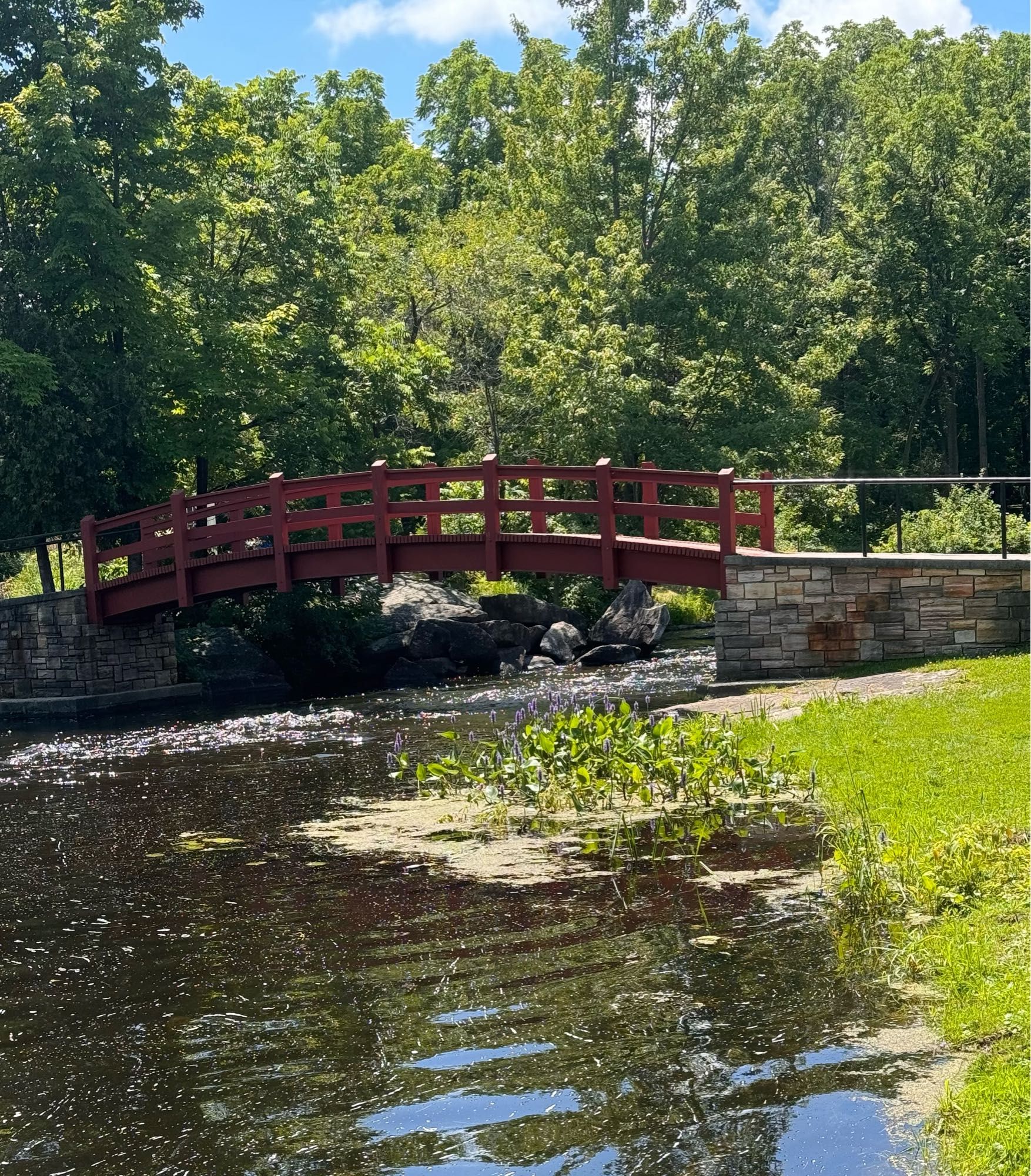 Peaceful scene of a bridge and water.