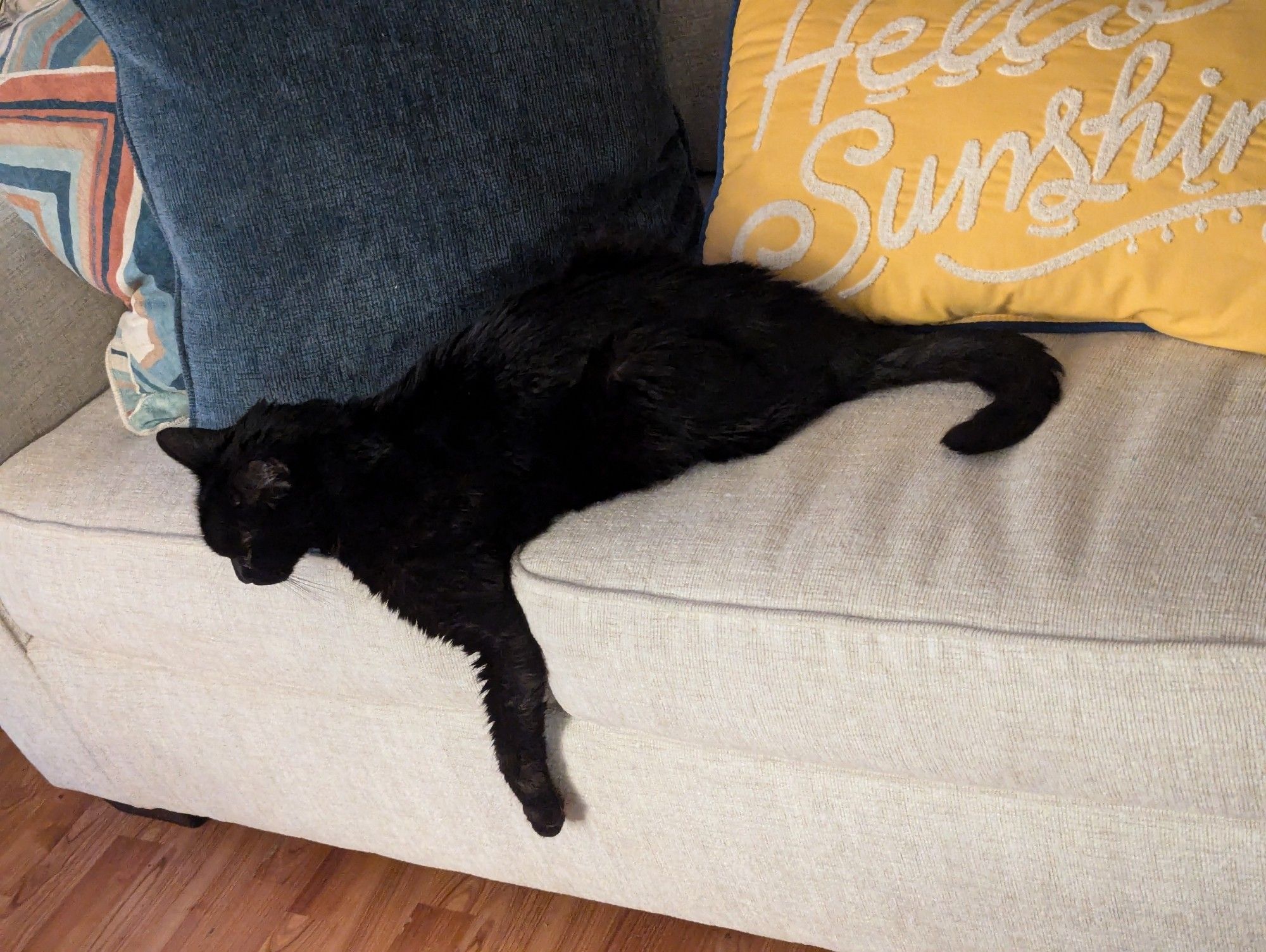 Photo of a black cat laying on a couch with one leg (his left arm) hanging off, extended towards the floor while the other limbs are hidden beneath him