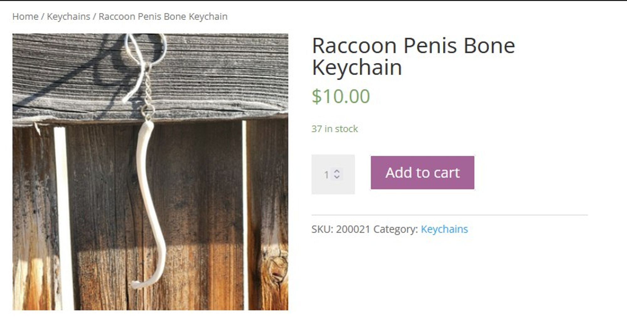 Online shop listing for a 'Raccoon Penis Bone Keychain' for $10.