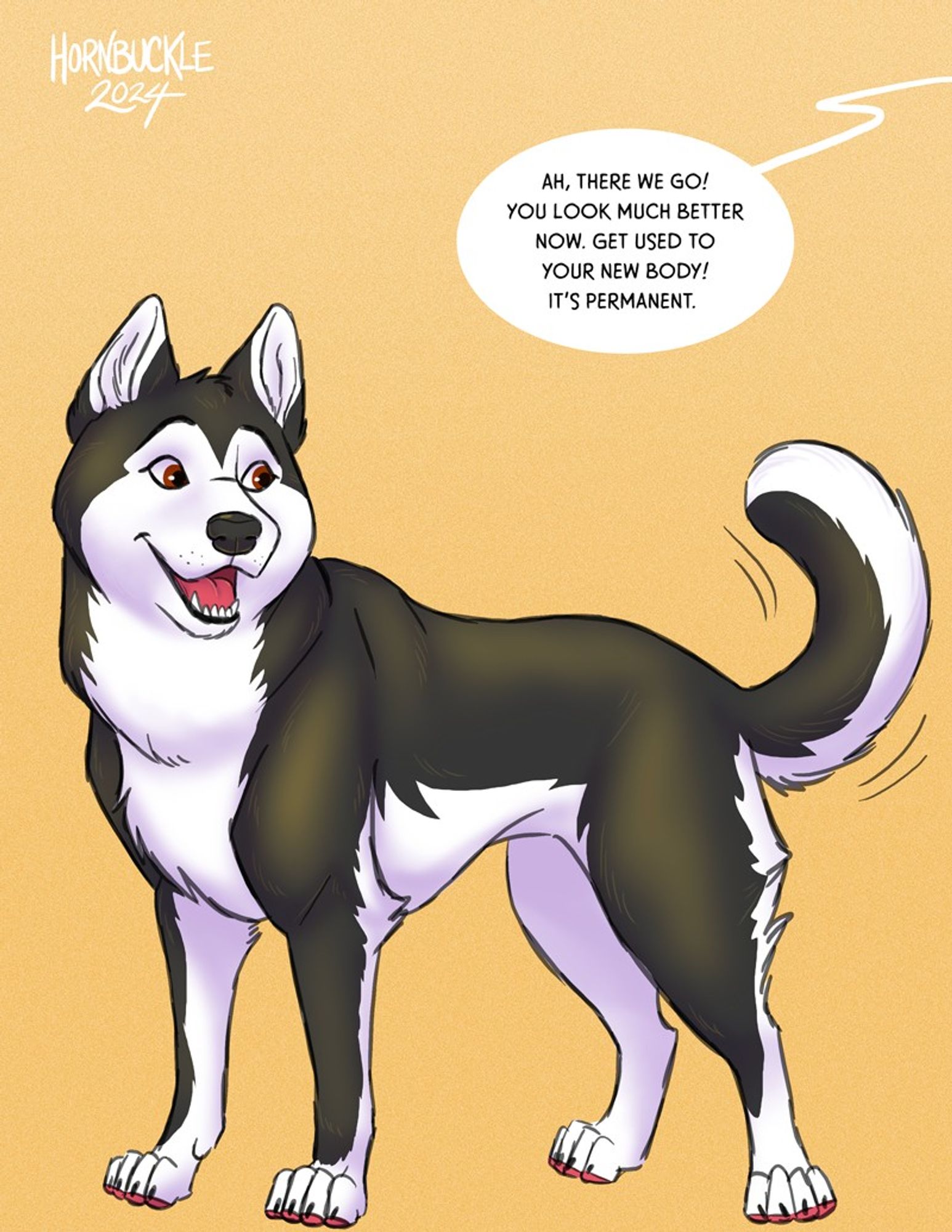 A happy black and white husky wags his tail as a person off screen says "Ah, there we go! You look much better now. Get used to your new body! It's permanent."