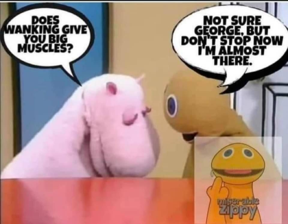 George and Zippy from 80s kids TV show Rainbow. They are facing each other and both looking down. George says, "Does walking give you big muscles?" And Zippy replies "not sure George, but don't stop now. I'm almost there"
A watermark for miserable Zippy is in the bottom right corner.