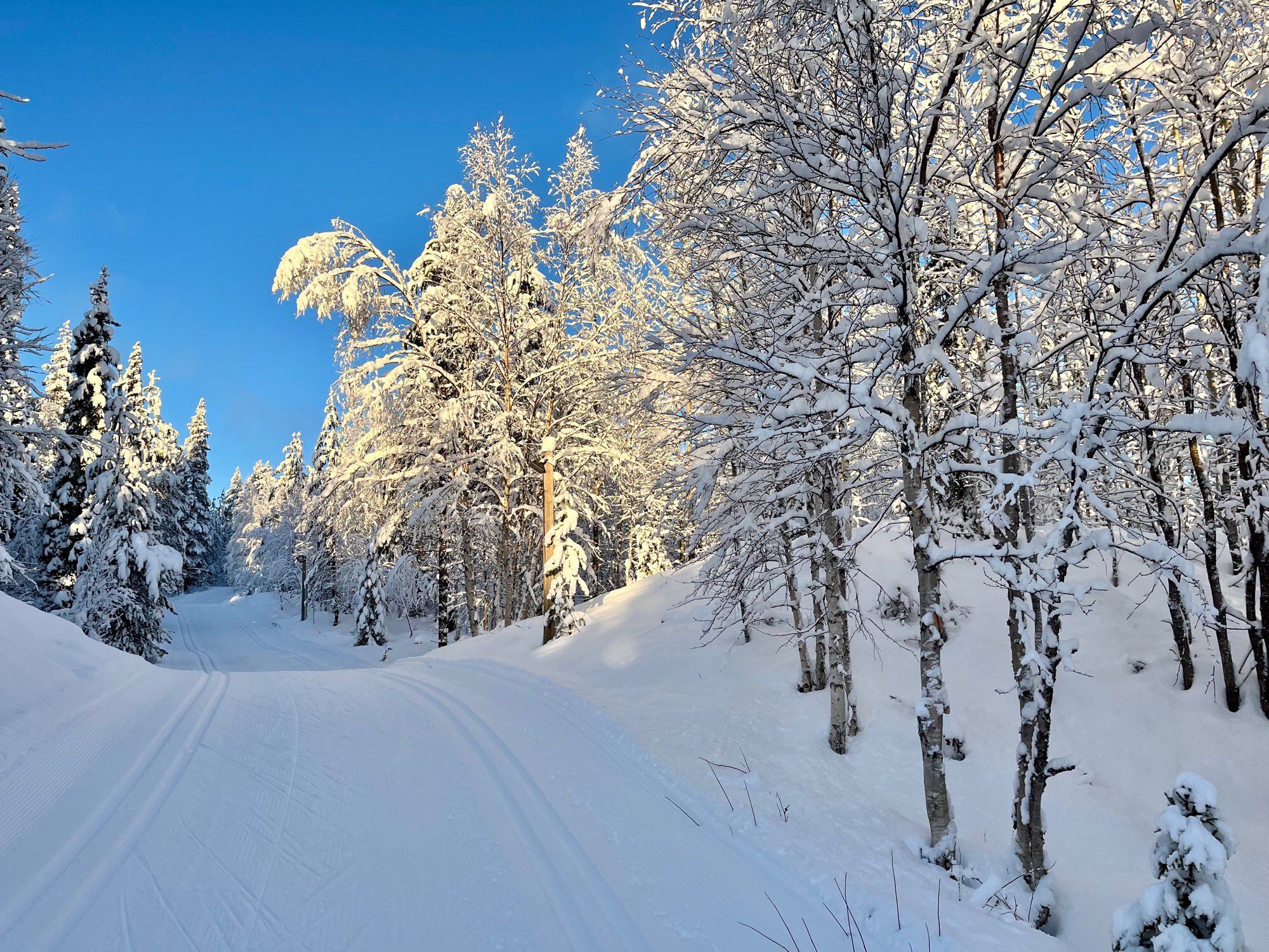 Snowy view from Finnish Lapland 10th November