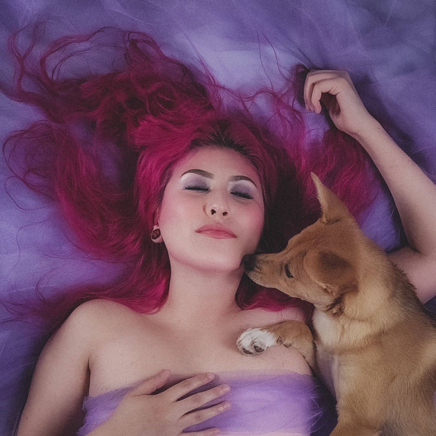 Bailee recreating the Hounds of Love album cover with her dog, Azura. She is laying on and wrapped up in lavender colored tulle as her dog appears to be kissing her on the cheek. Her hair is hot pink and crimped as it flows all over the tulle.