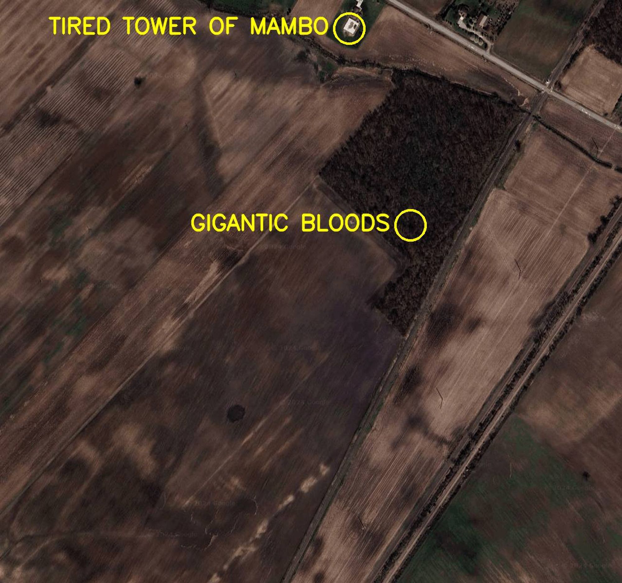 Aerial satellite photo labelled in bright yellow letters: 

1. Tired Tower of Mambo
2. Gigantic Bloods