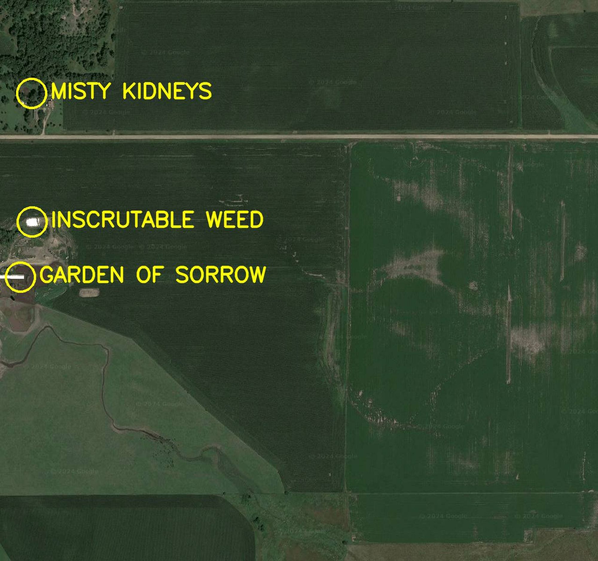 Aerial satellite photo labelled in bright yellow letters: 

1. Inscrutable Weed
2. Misty Kidneys
3. Garden of Sorrow
