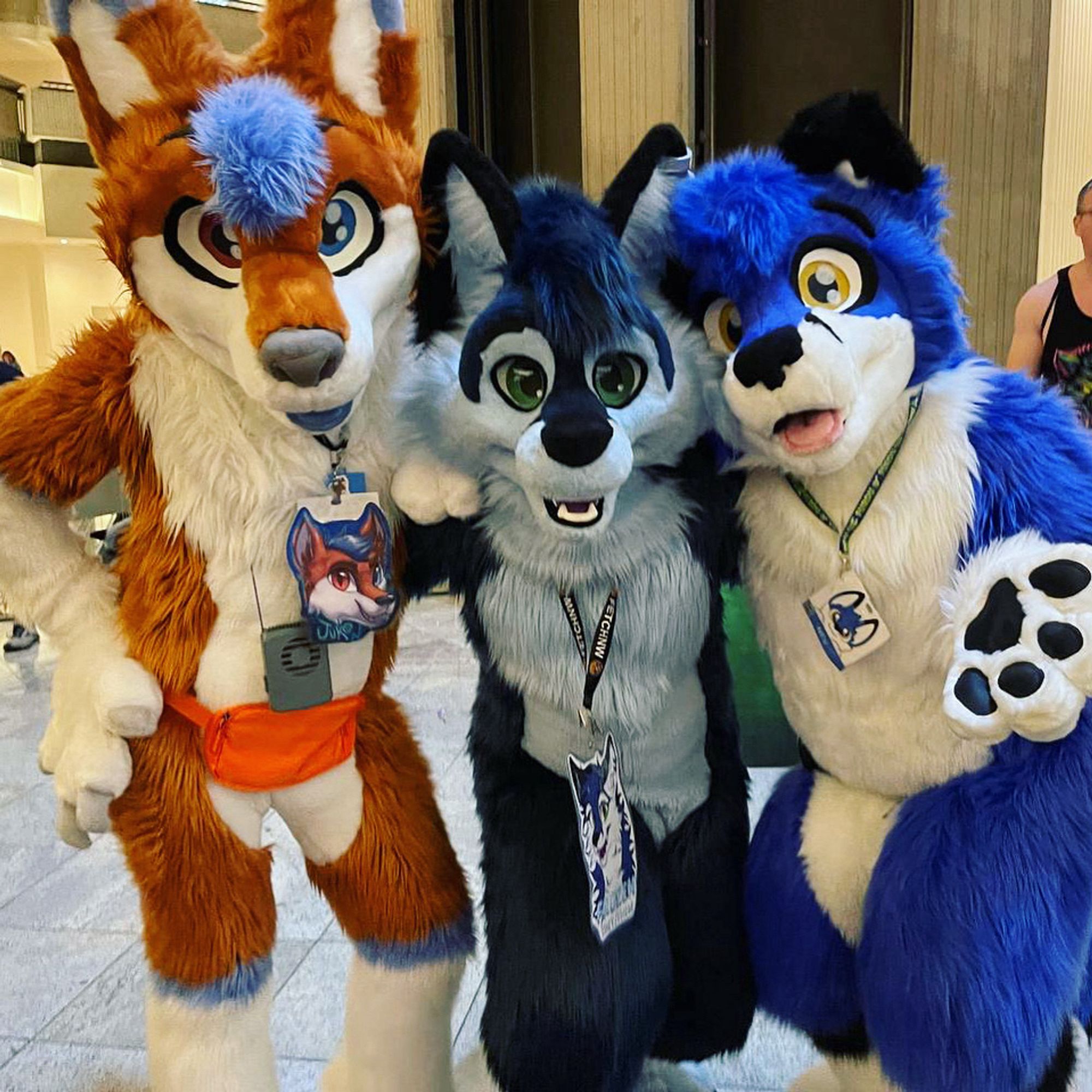 A group of fursuitsrs pose, one orange wolf who is actually a fox and 2 blue foxes